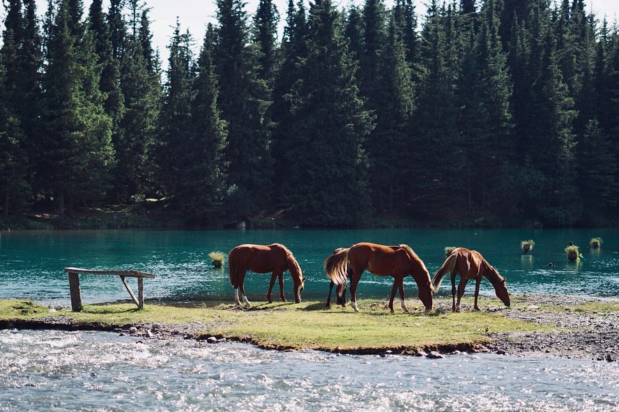 Путешествие в сердце Тянь-Шаня! Программа на 10 дней, по максимому! (74/80)