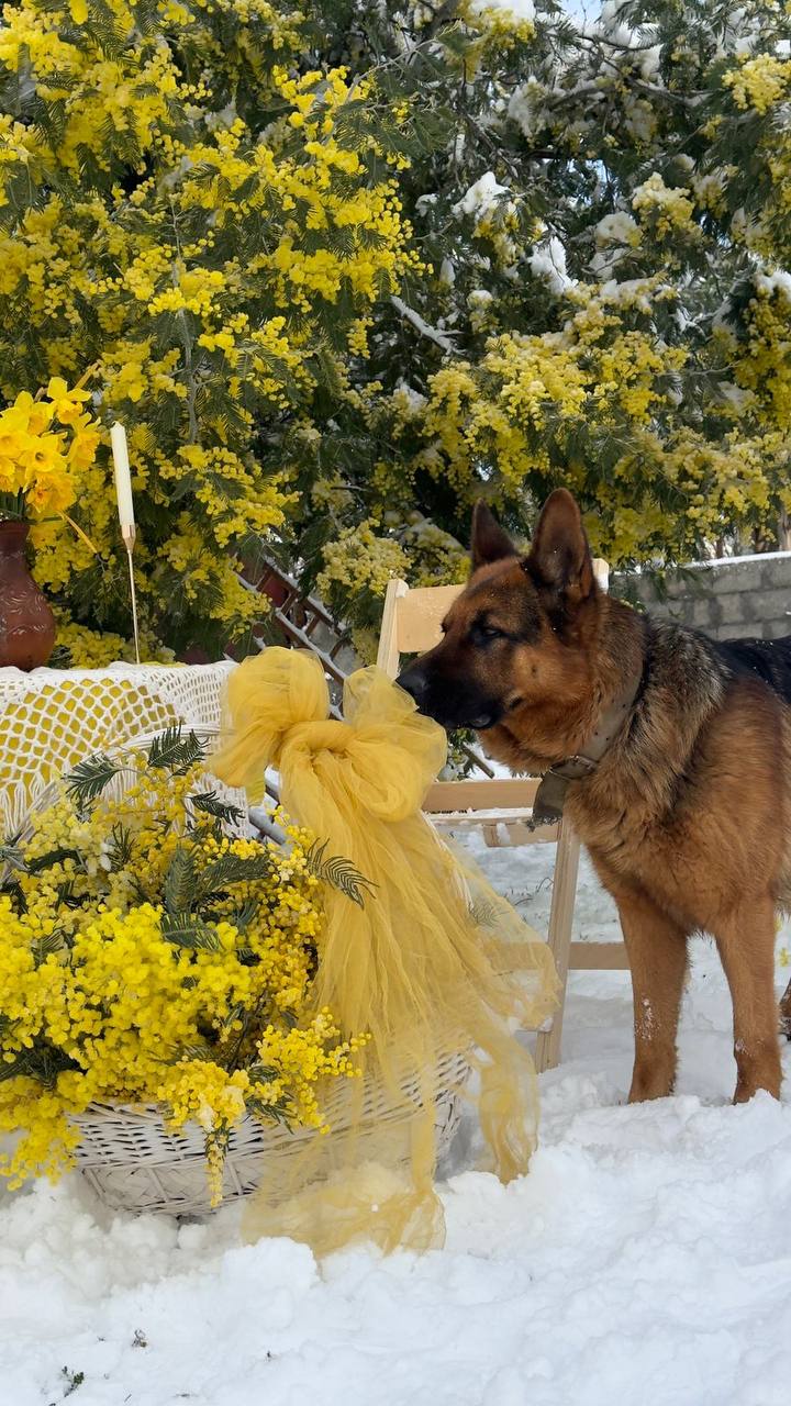 Из Краснодара в Абхазию (18/21)