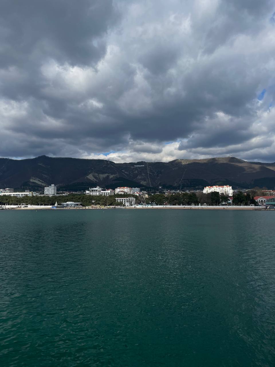 Из Краснодара — в Сафари Парк + Геленджик