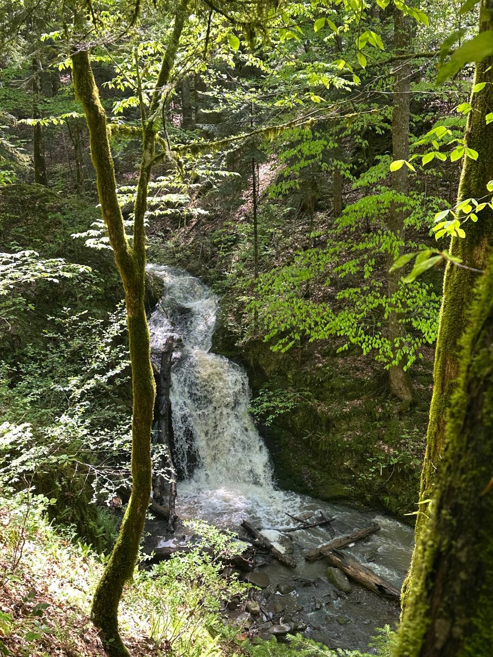 Из Краснодара в Гузерипль (7/12)