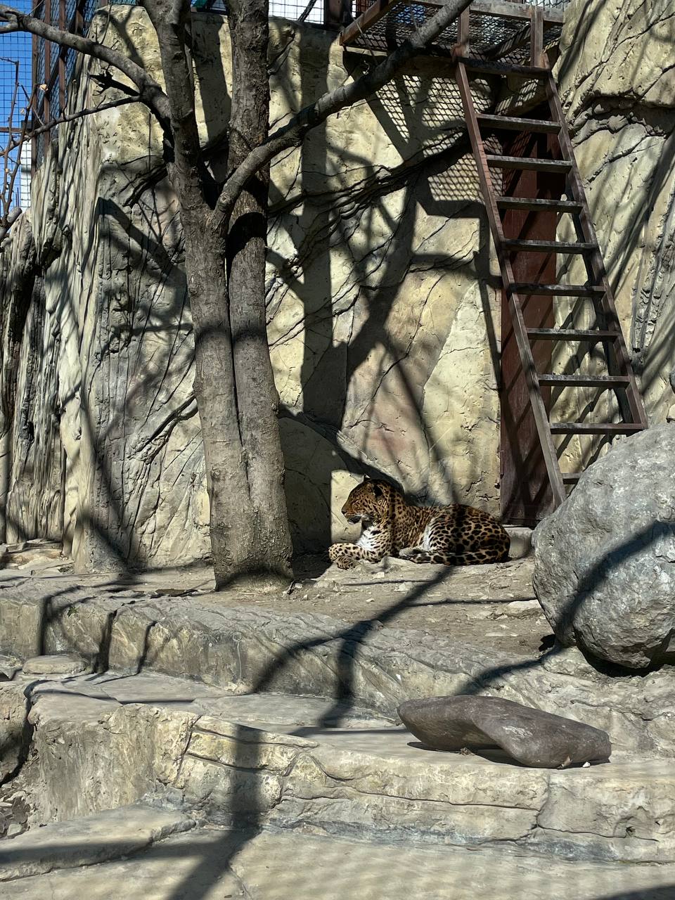 Сафари Парк + Геленджик Набережная (6/12)