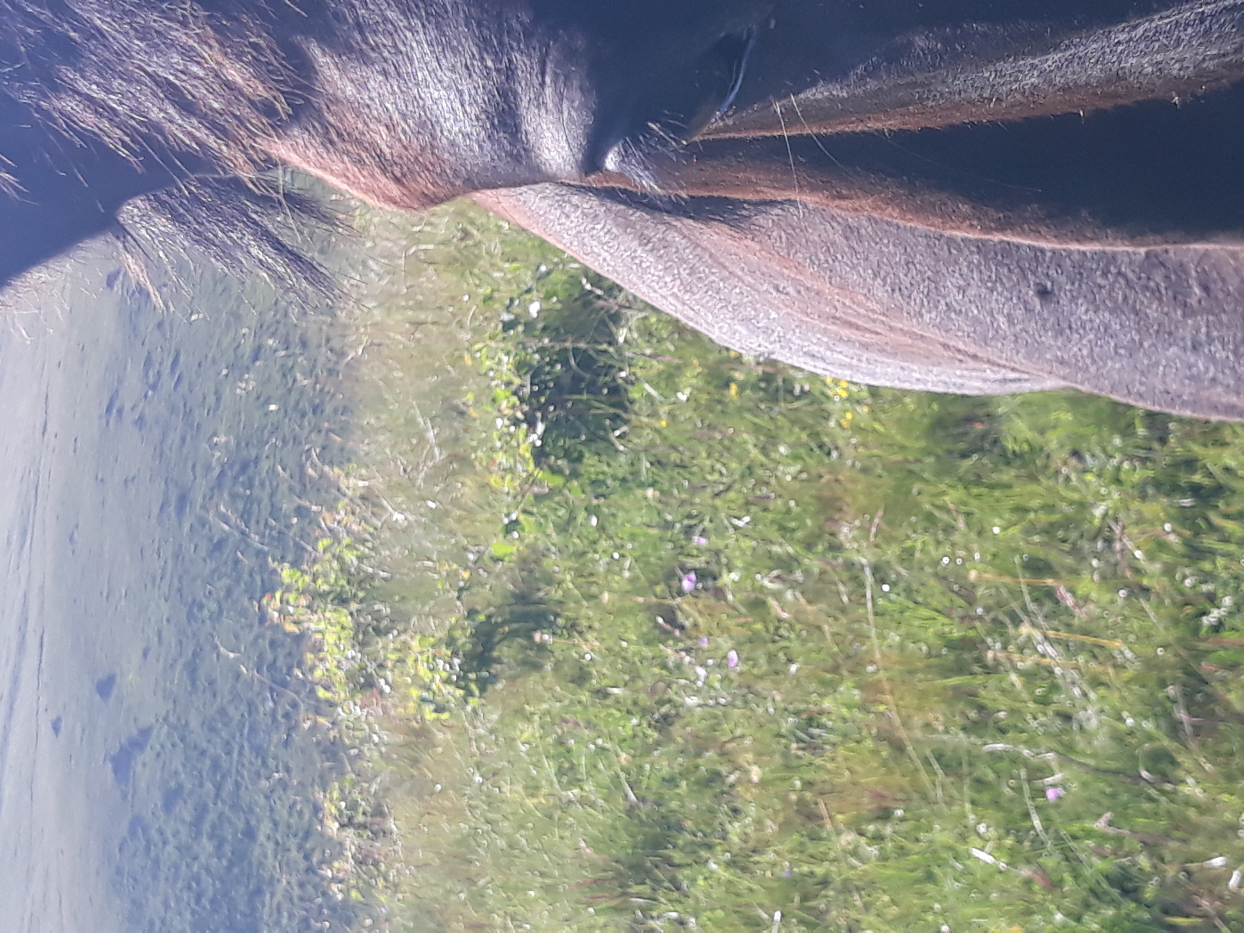 Кавказ - новые горизонты ( со скидкой!!,  все включено , 6 дней) (25/107)