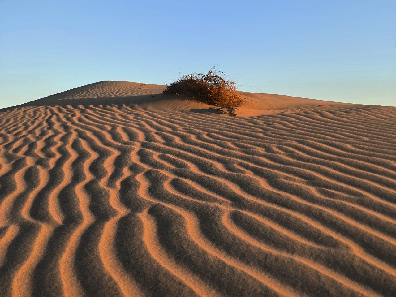Цветущая Монголия. Озера и Барханы (15/47)