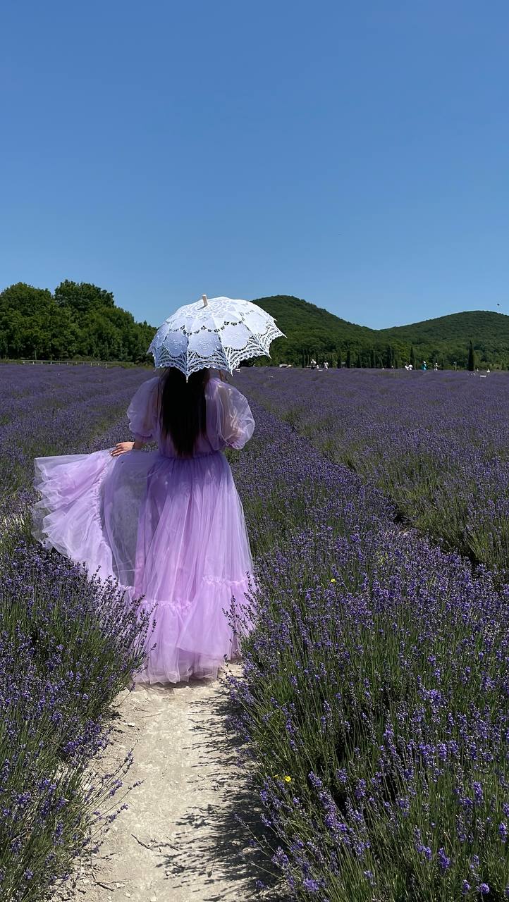Тур в Лаванду: погружение в атмосферу французского Прованса