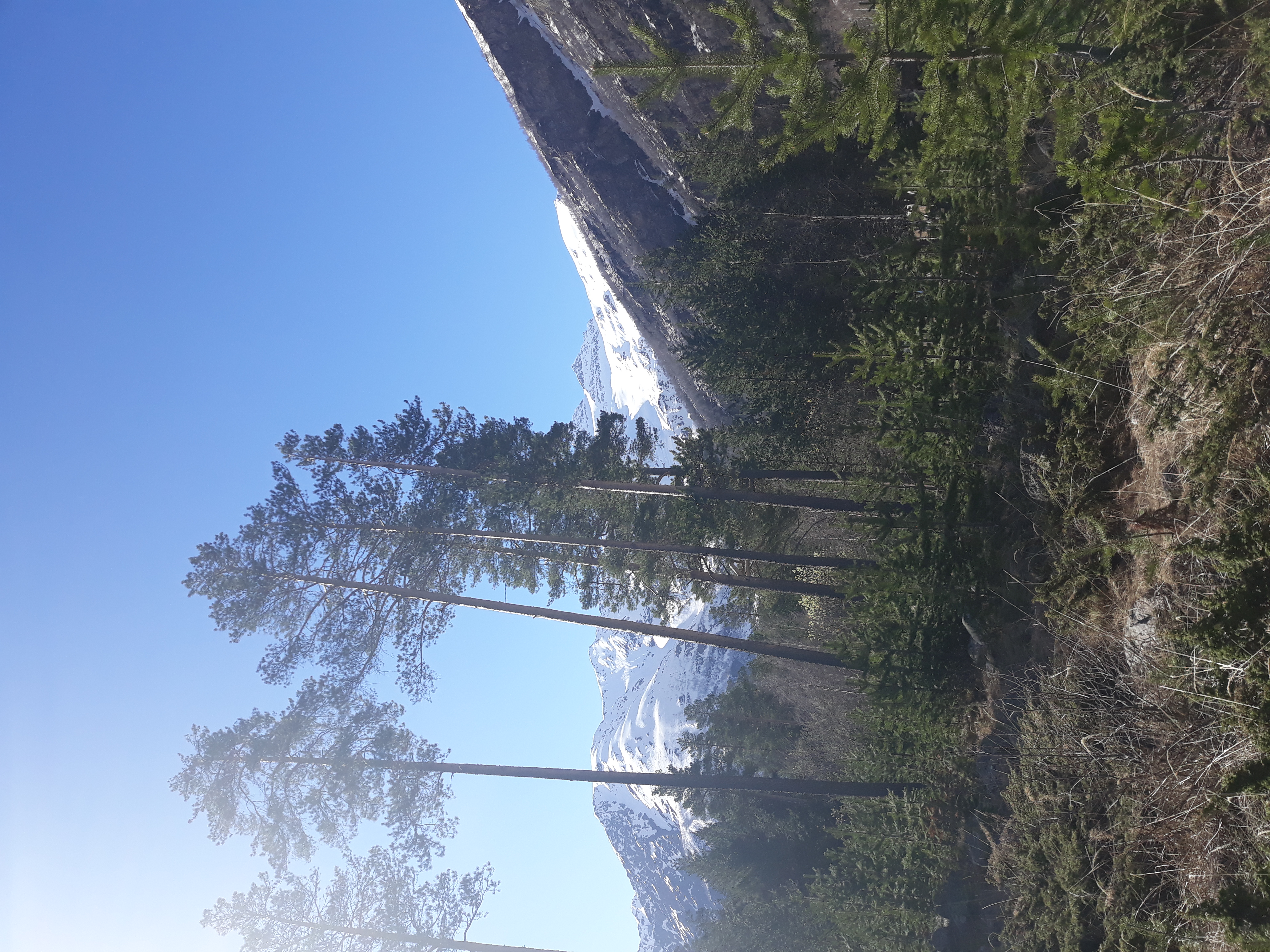 Кавказ - новые горизонты ( со скидкой!!,  все включено , 6 дней) (36/107)