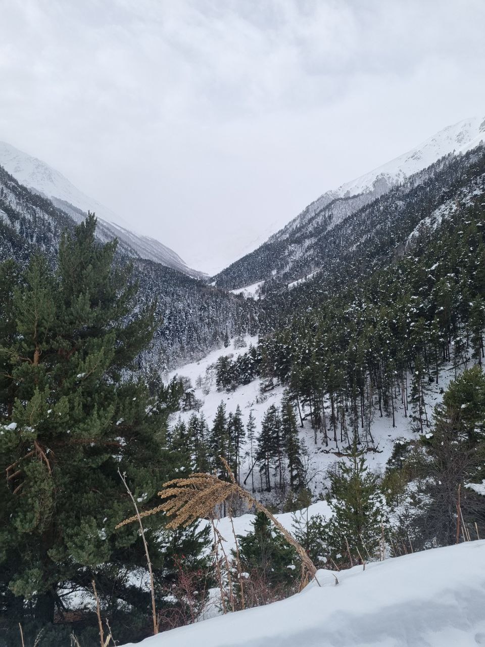 Динамичный Домбай: успеть за 3 дня! (8/21)