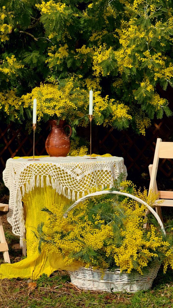 Из Краснодара в Абхазию