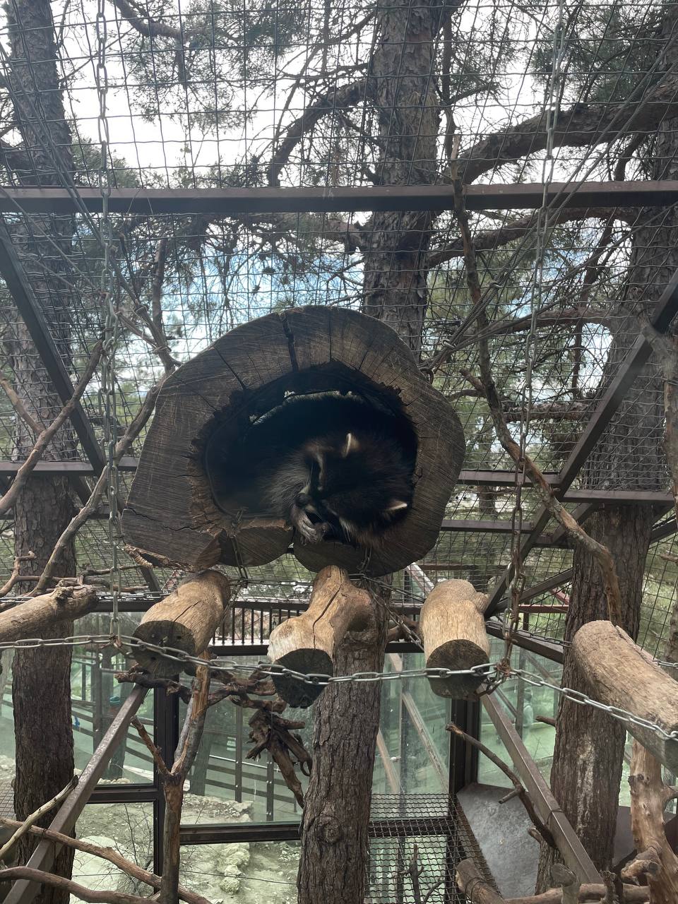 Сафари Парк + Геленджик Набережная (7/12)