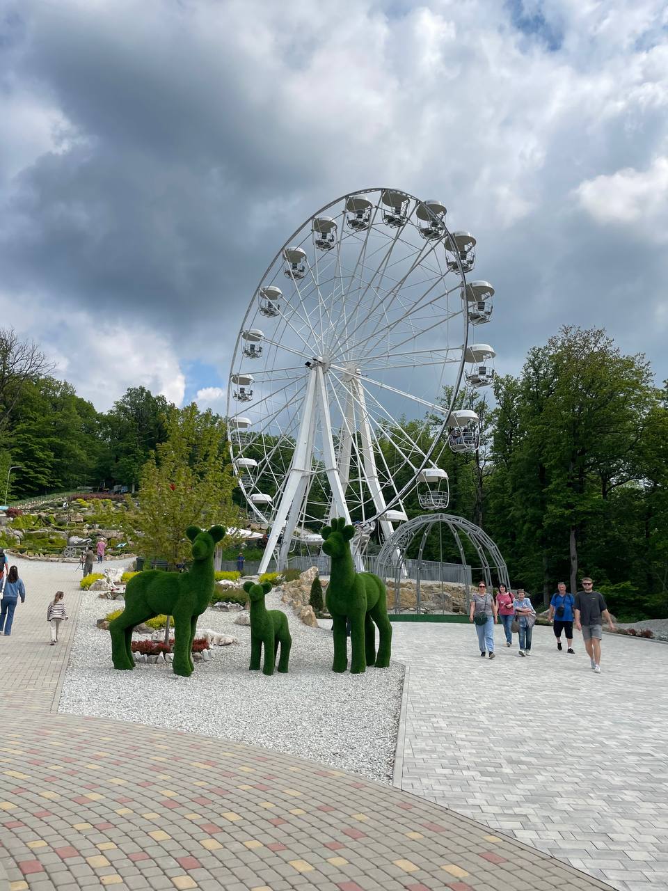 Горячий ключ + Ферма Альпак (10/13)