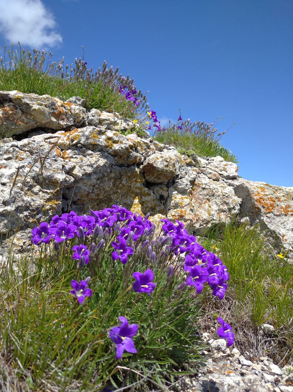 Кавказ - новые горизонты ( со скидкой!!,  все включено , 6 дней) (98/107)