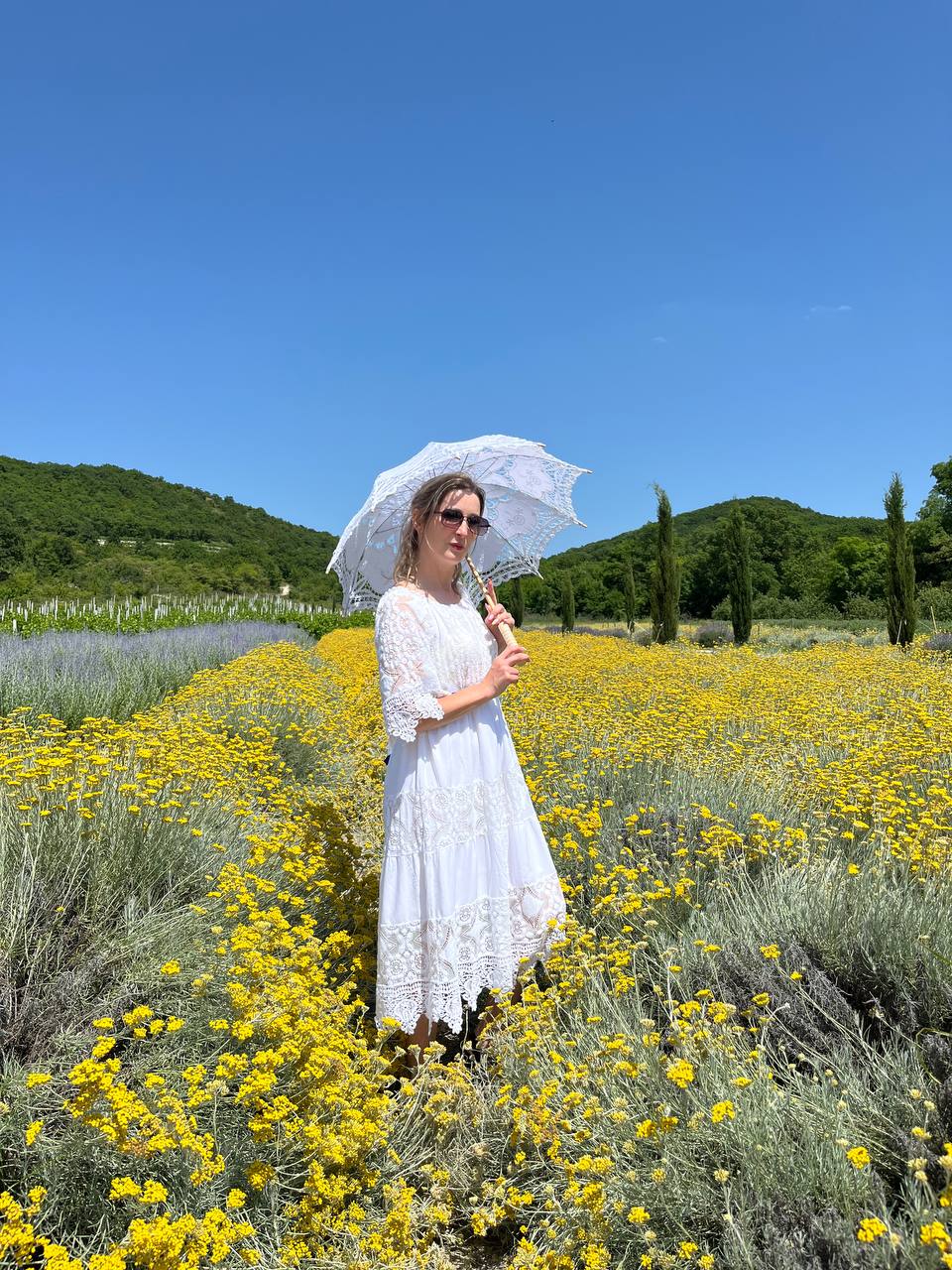 Тур в Лаванду: погружение в атмосферу французского Прованса (7/10)