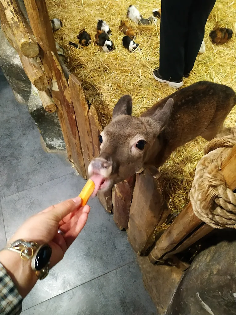 Семейный тур в Армению (4/27)