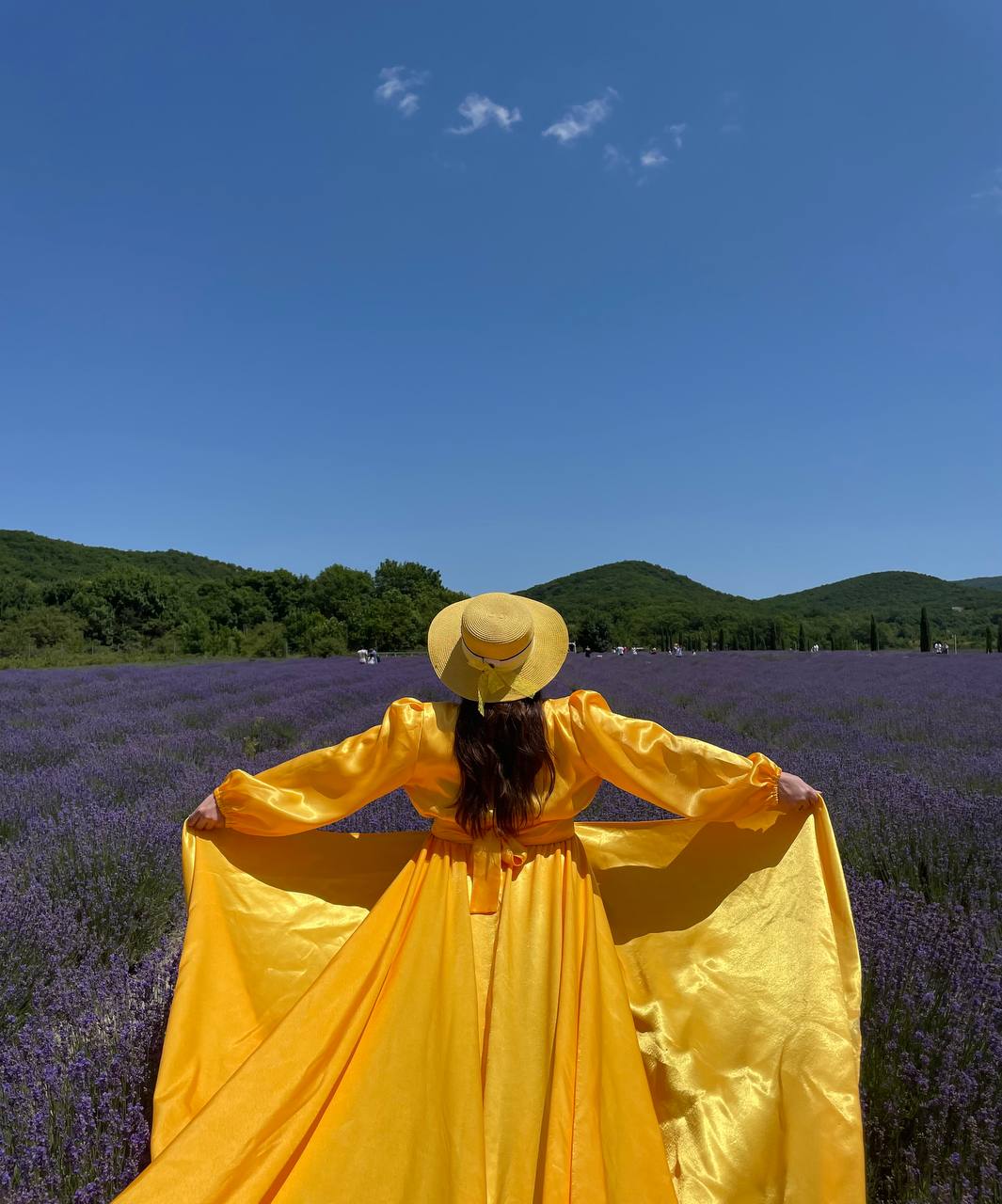Тур в Лаванду: погружение в атмосферу французского Прованса (4/10)