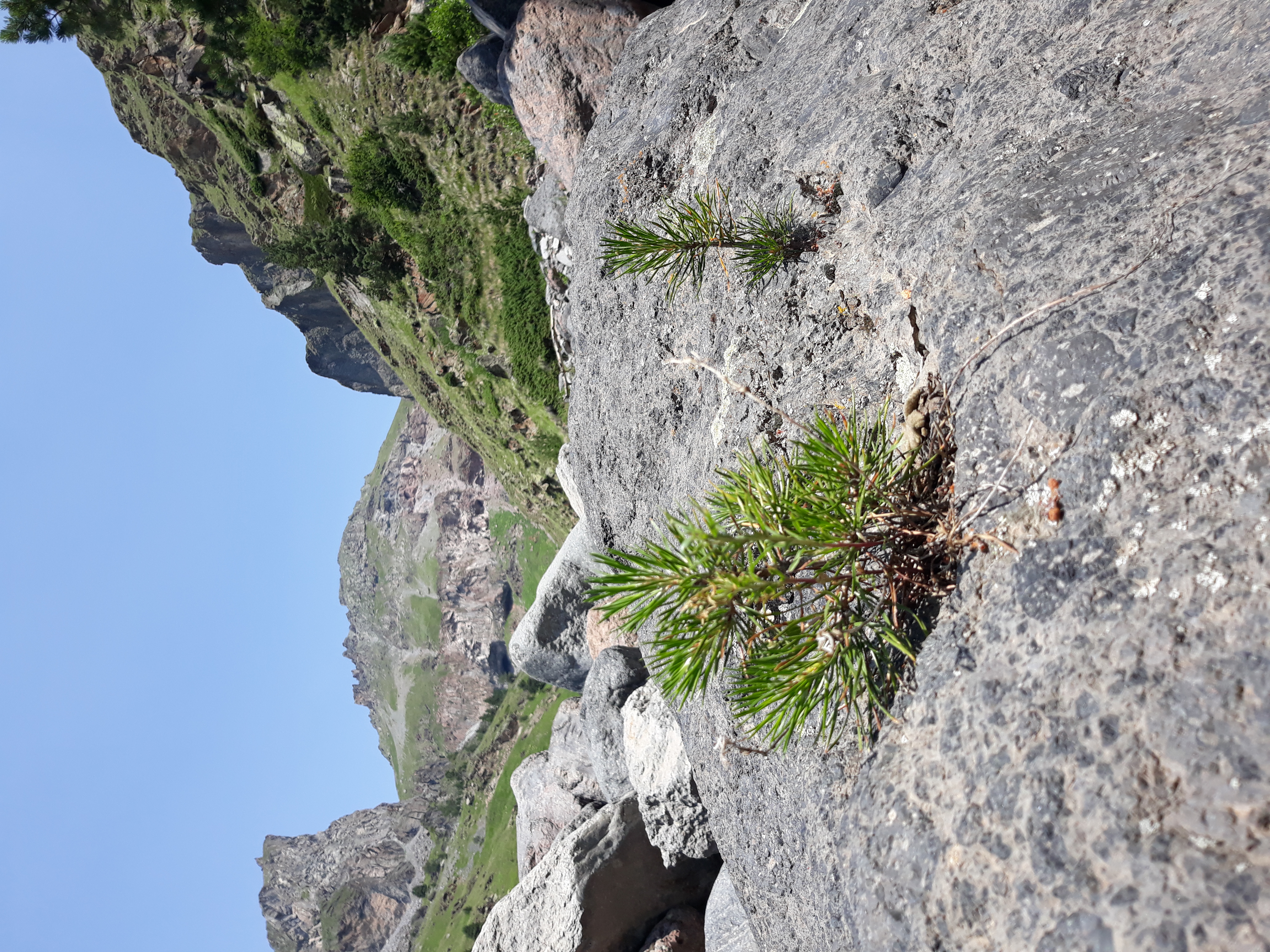 Кавказ - новые горизонты ( со скидкой!!,  все включено , 6 дней) (22/107)