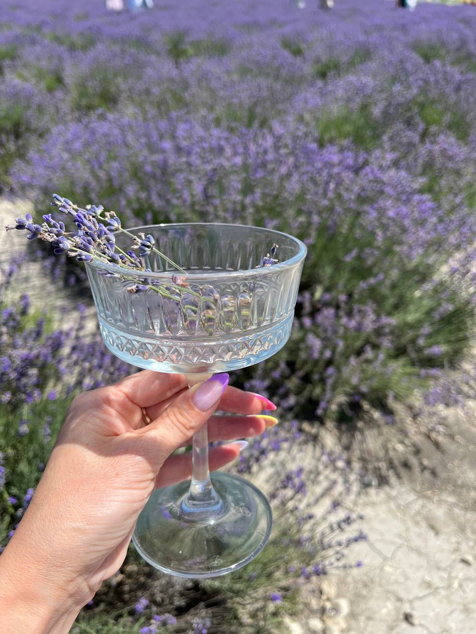 Тур в Лаванду: погружение в атмосферу французского Прованса (8/10)