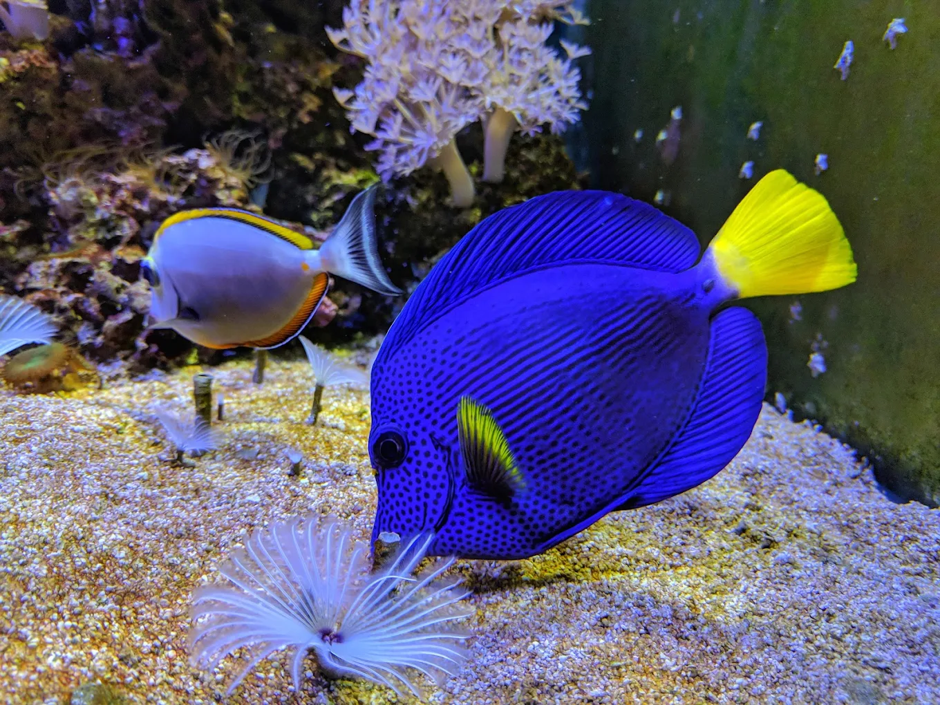 Семейный тур в Армению (3/27)