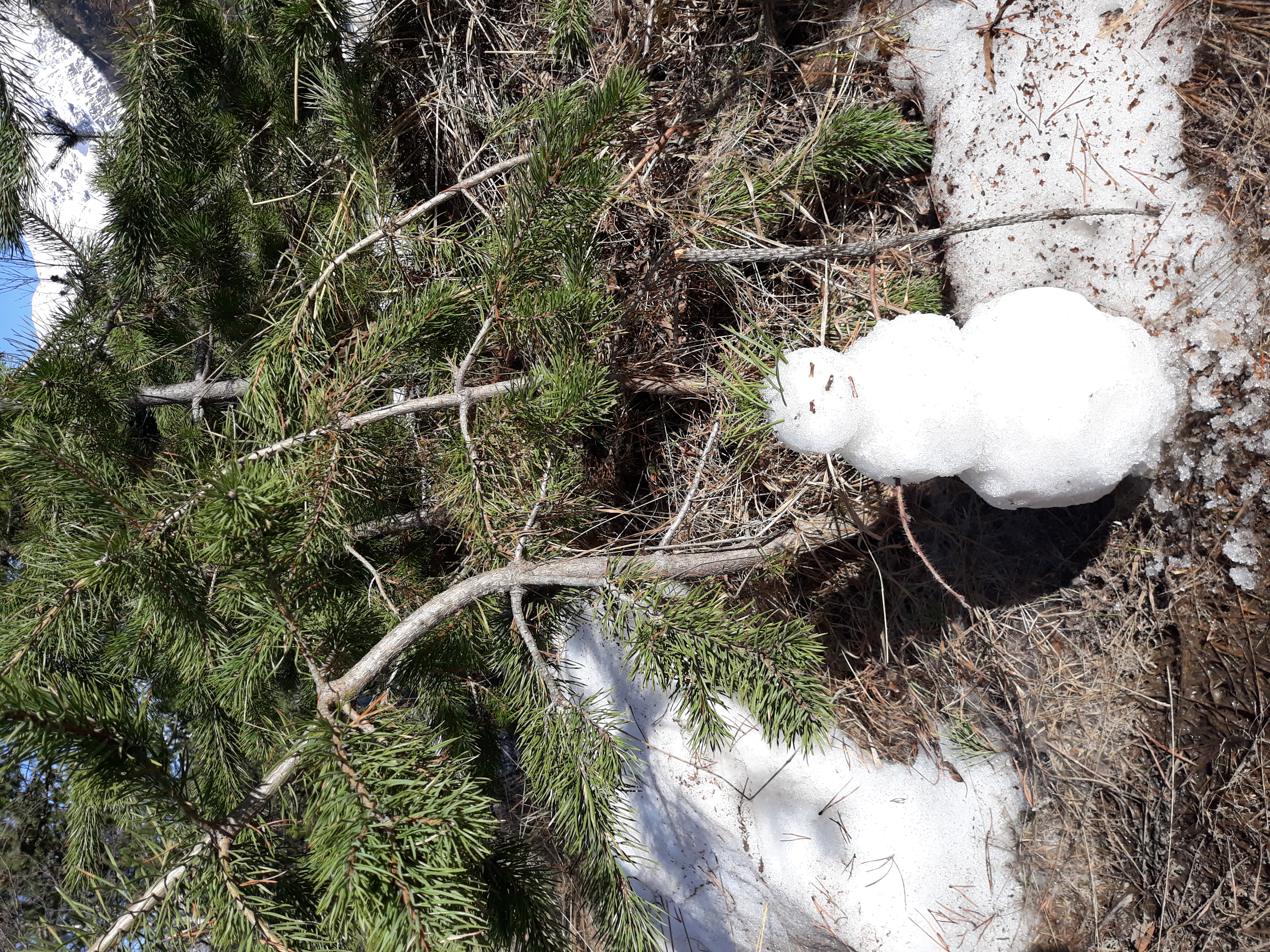 Кавказ - новые горизонты ( со скидкой!!,  все включено , 6 дней) (30/107)