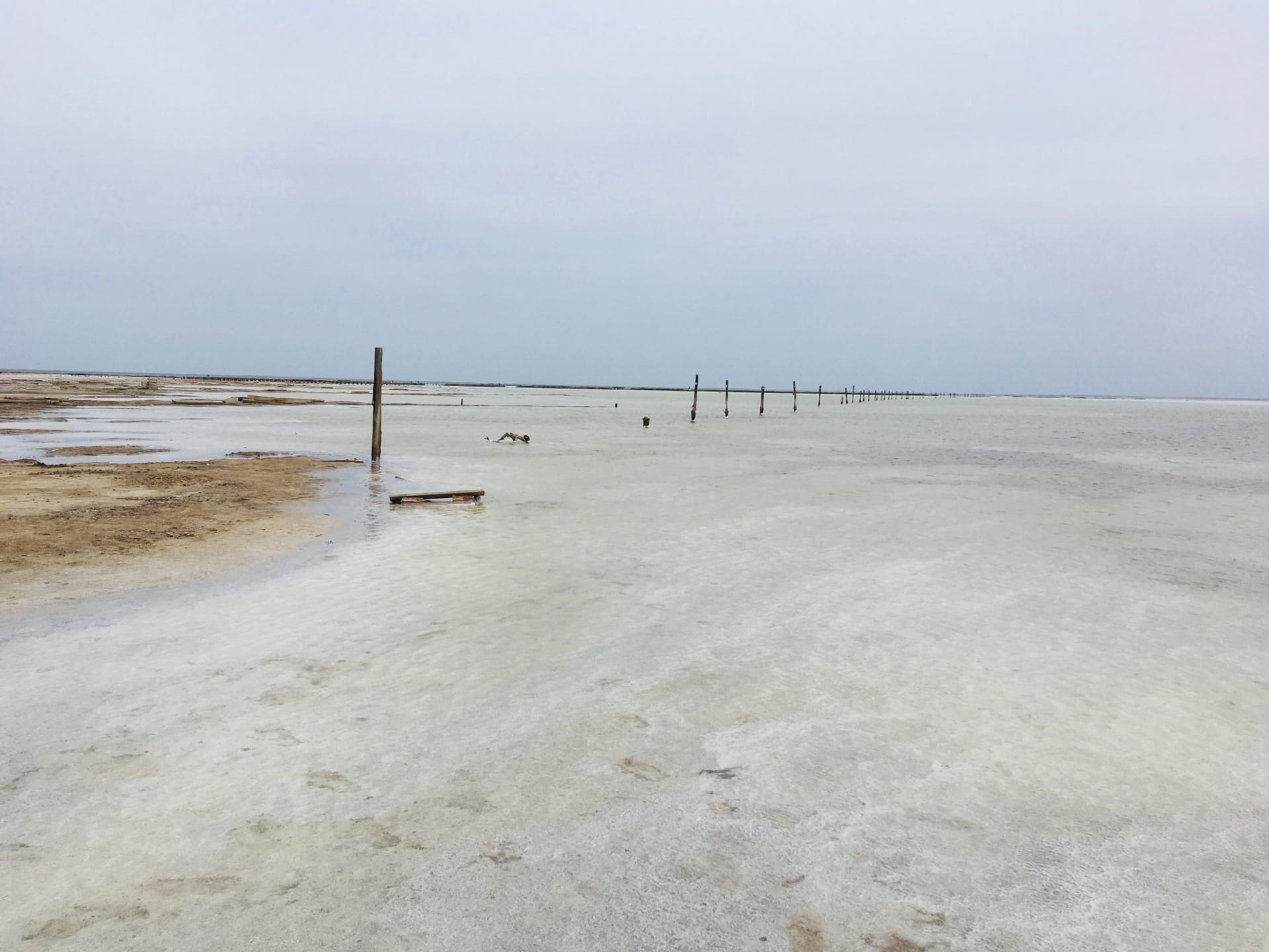 Калмыкия, степные тюльпаны и Золотая Элиста. Этнографическая экспедиция (4 дн/4 ночи) (6/17)