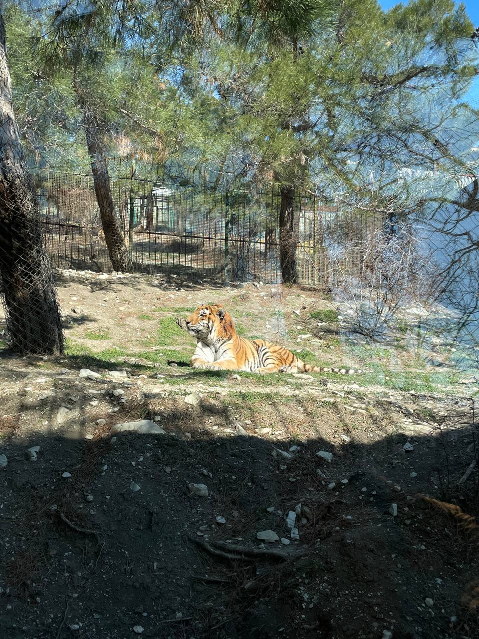 Сафари Парк + Геленджик Набережная (4/12)