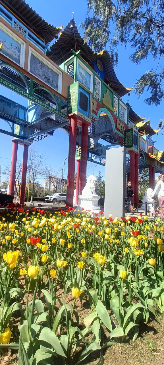 Тур в Элисту из Краснодара (9/11)