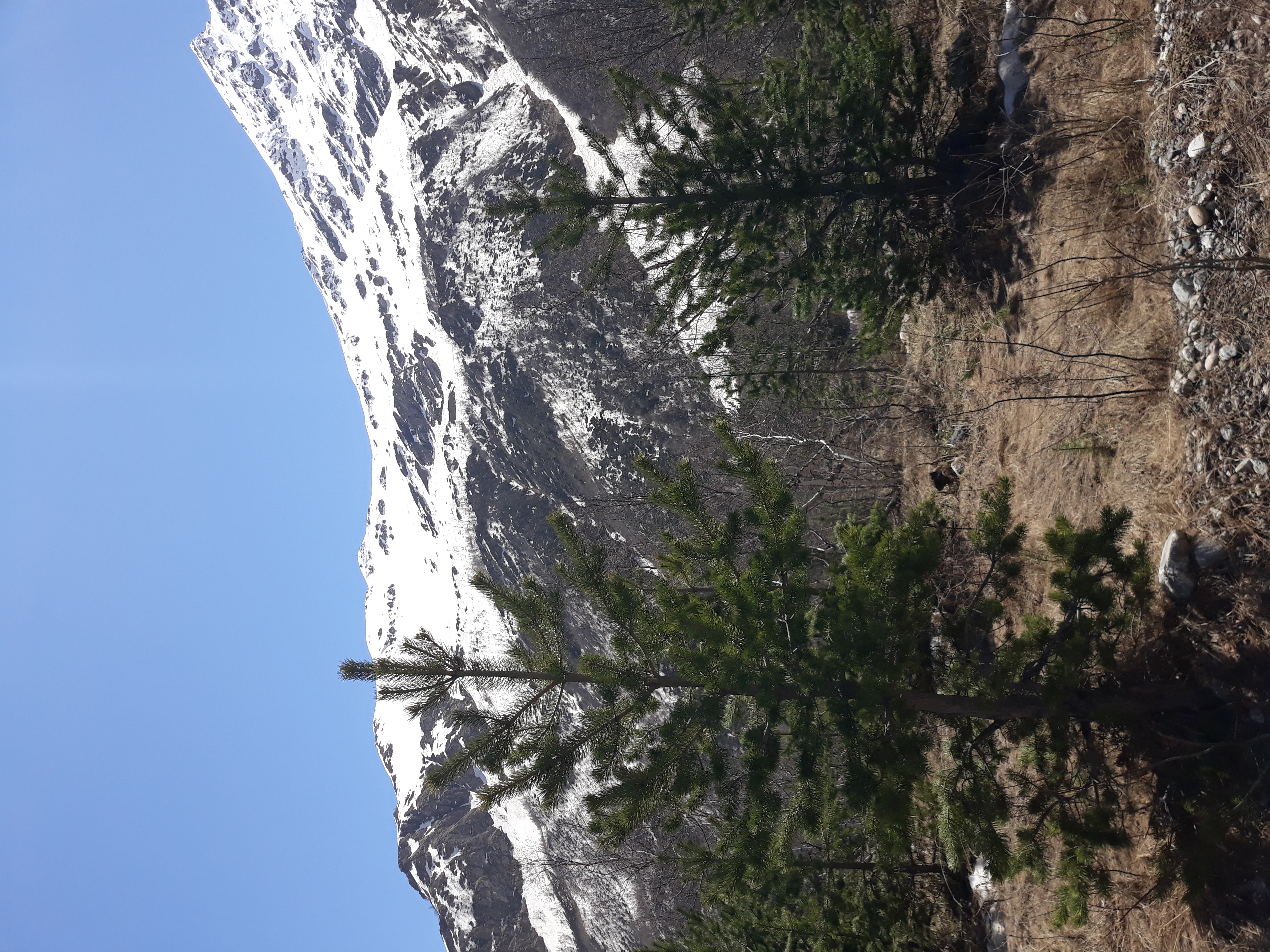 Кавказ - новые горизонты ( со скидкой!!,  все включено , 6 дней) (29/107)