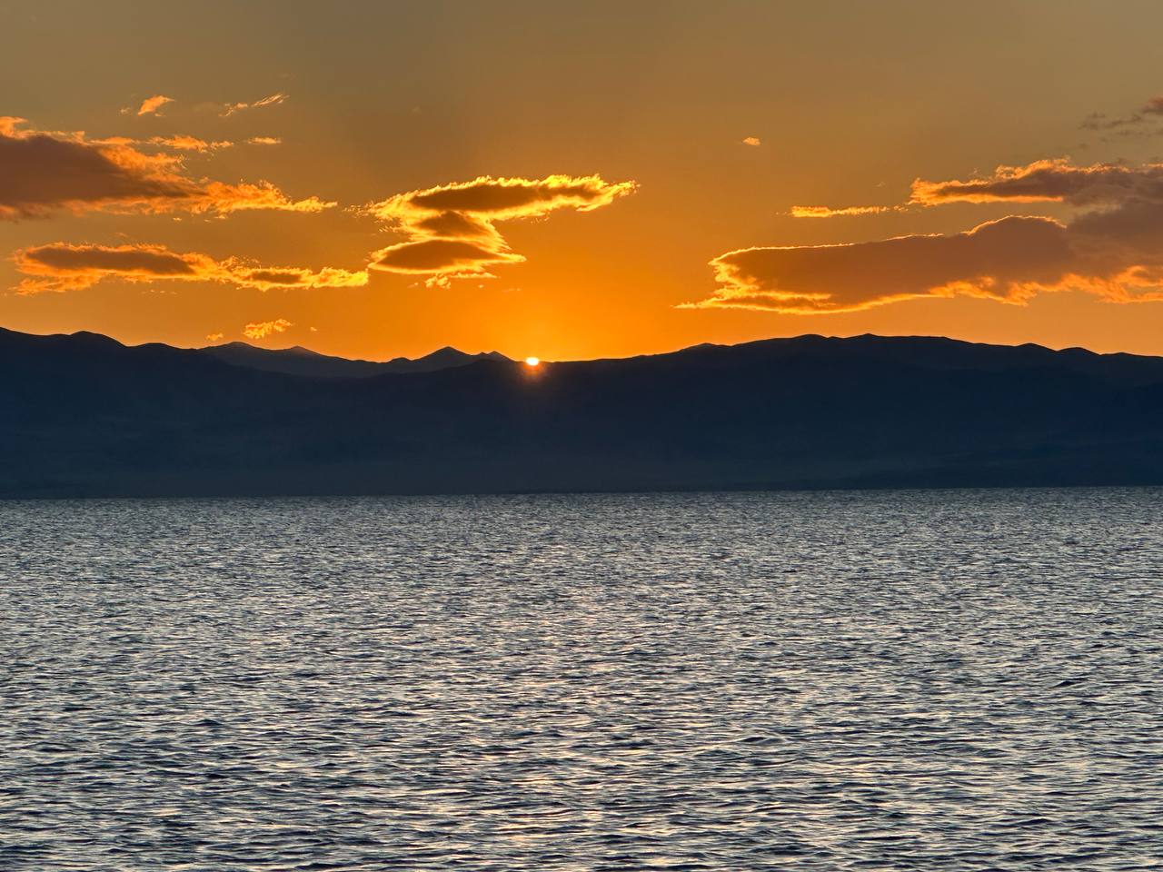 Цветущая Монголия. Озера и Барханы (10/47)