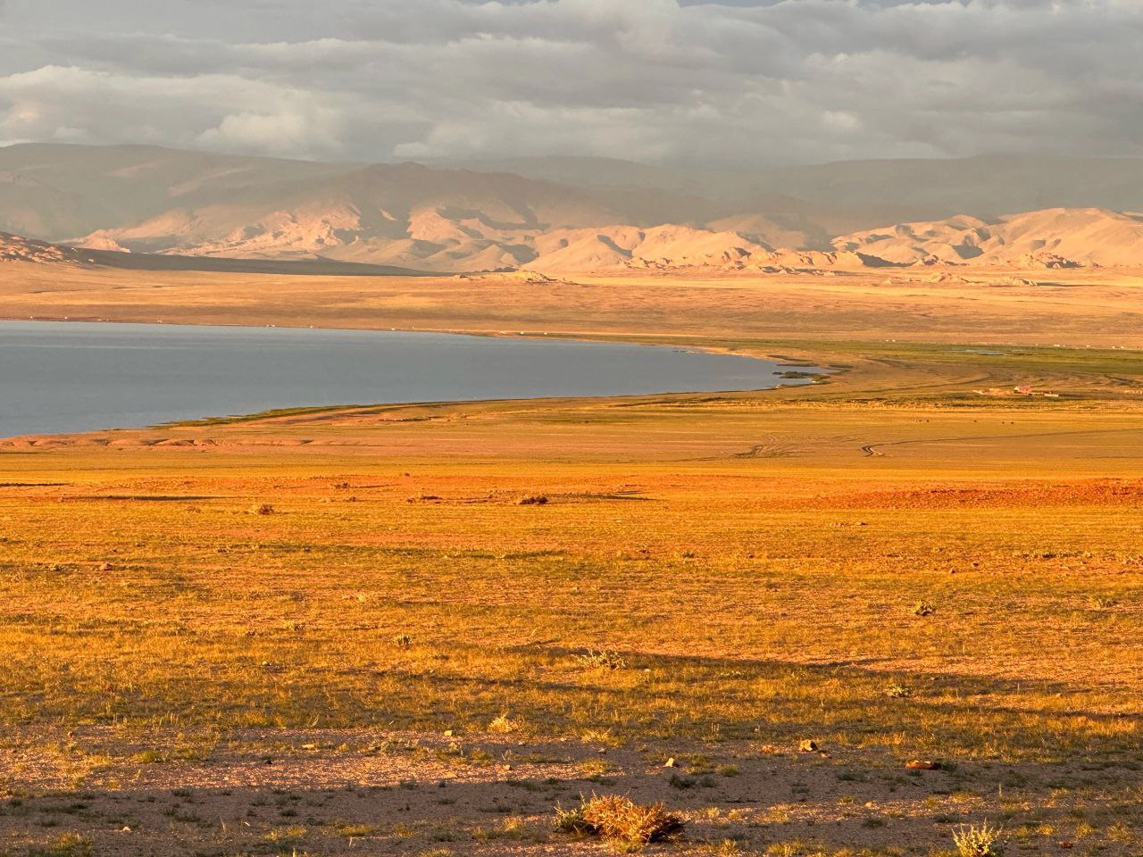 Цветущая Монголия. Озера и Барханы