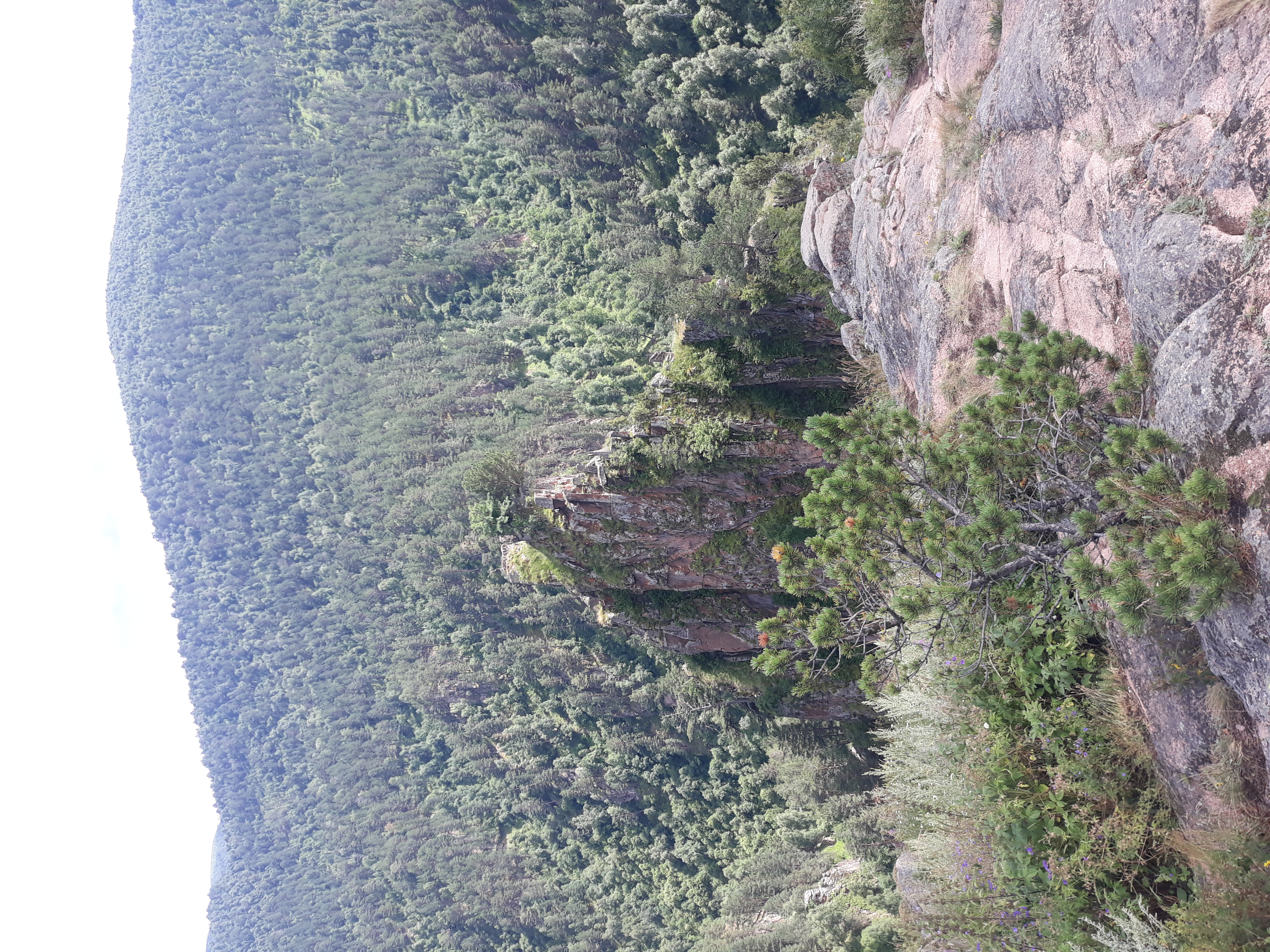 Кавказ - новые горизонты ( со скидкой!!,  все включено , 6 дней) (24/107)