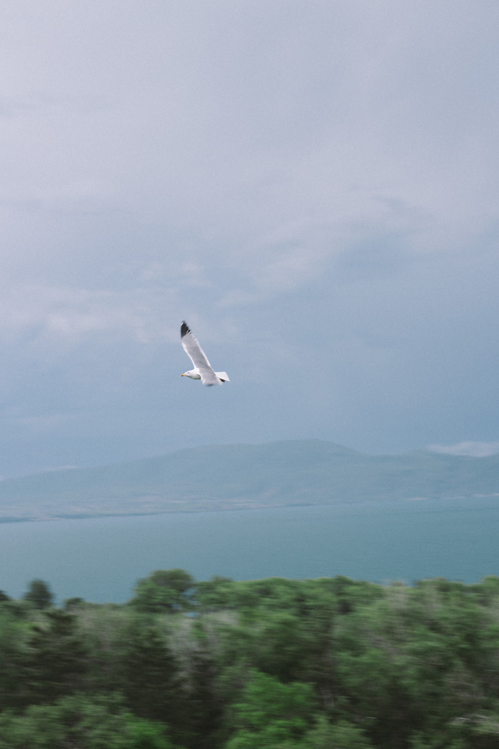 8 улетных дней в Армении и Грузии +винный фестиваль (15/167)