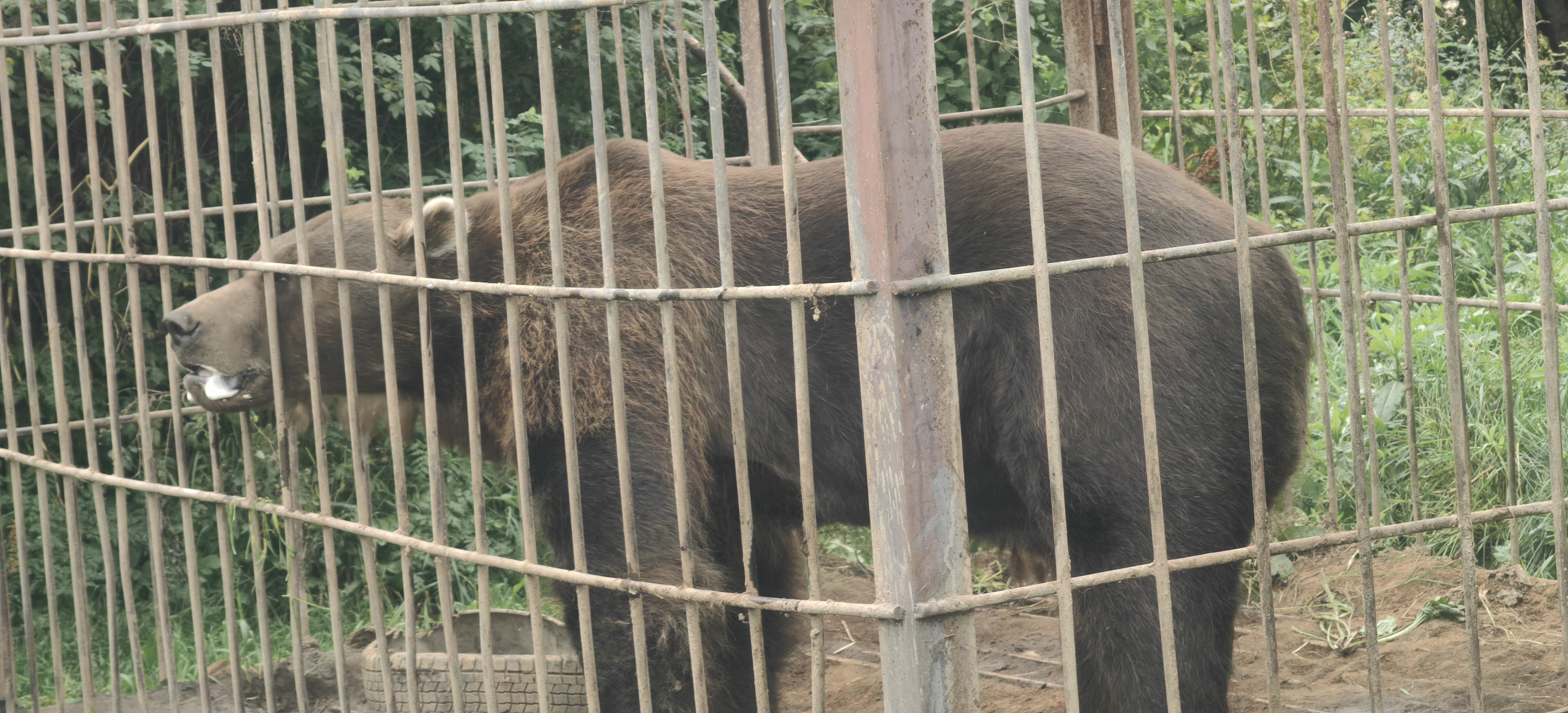 Первое знакомство с Камчаткой (тур для компаний 1-4 чел., цена за всех) (12/17)