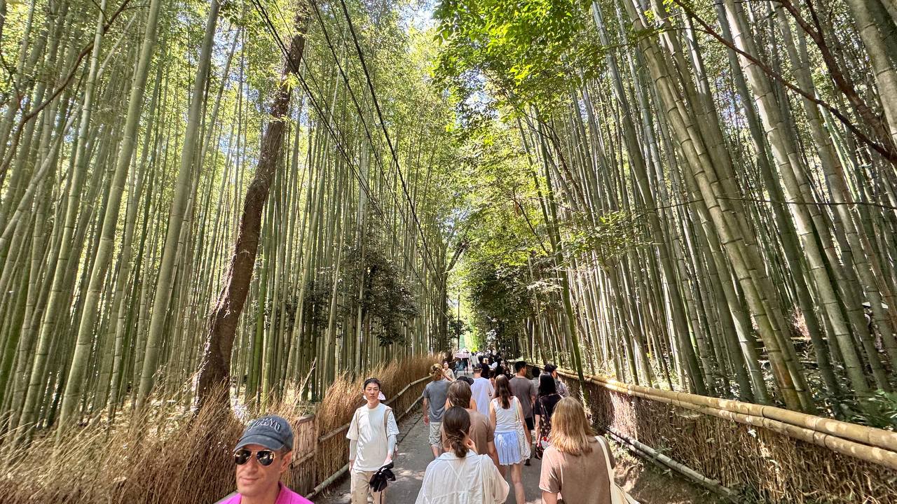 Япония: Алое путешествие (10/50)