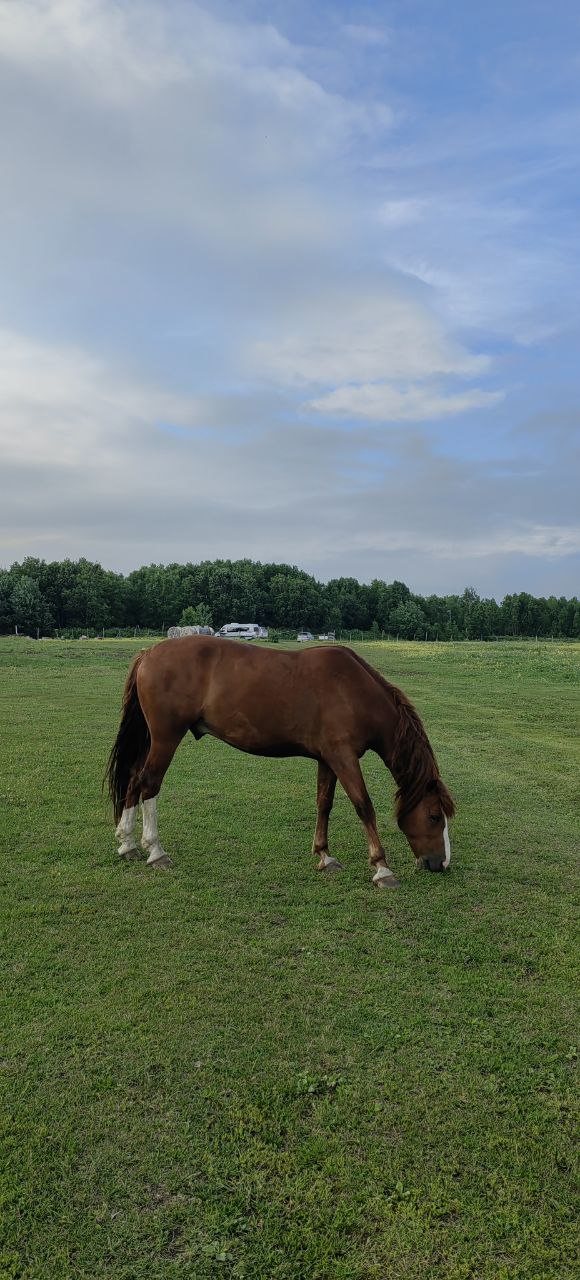 Первое знакомство с Камчаткой (тур для компаний 1-4 чел., цена за всех) (15/17)