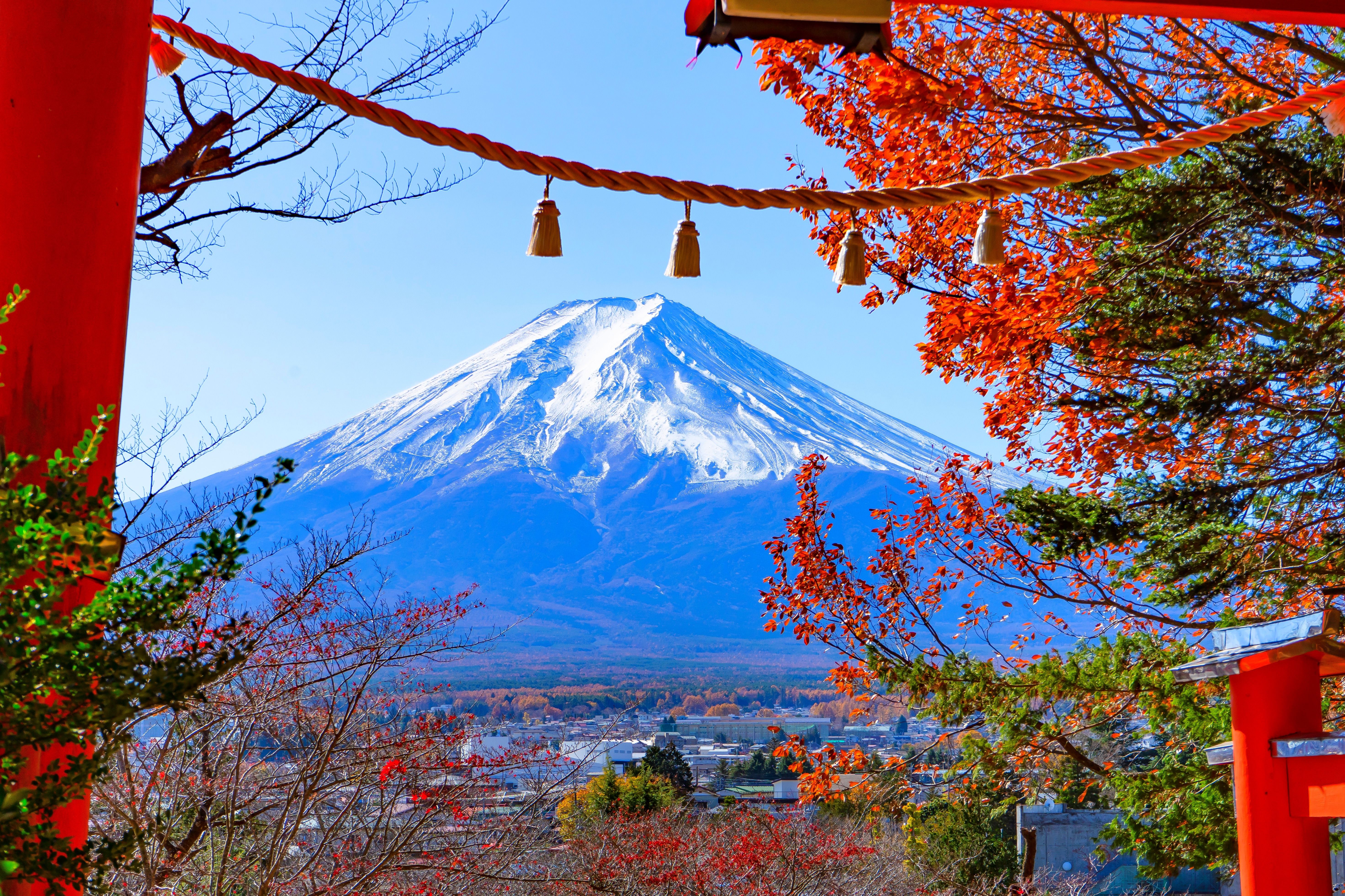 Япония: Алое путешествие (20/50)