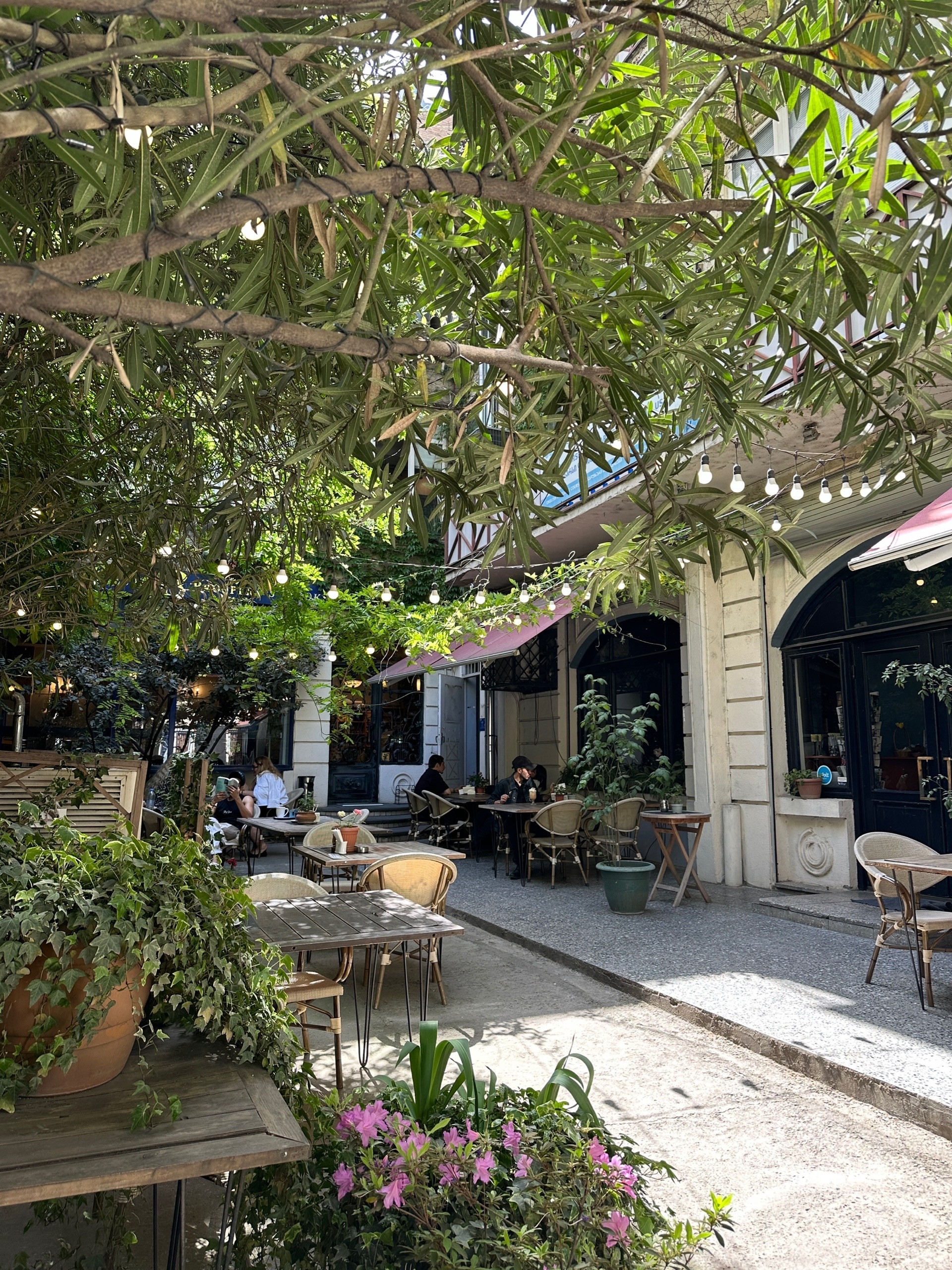 Грузия. Тбилиси и рядом. Тур с религиоведом (22/22)