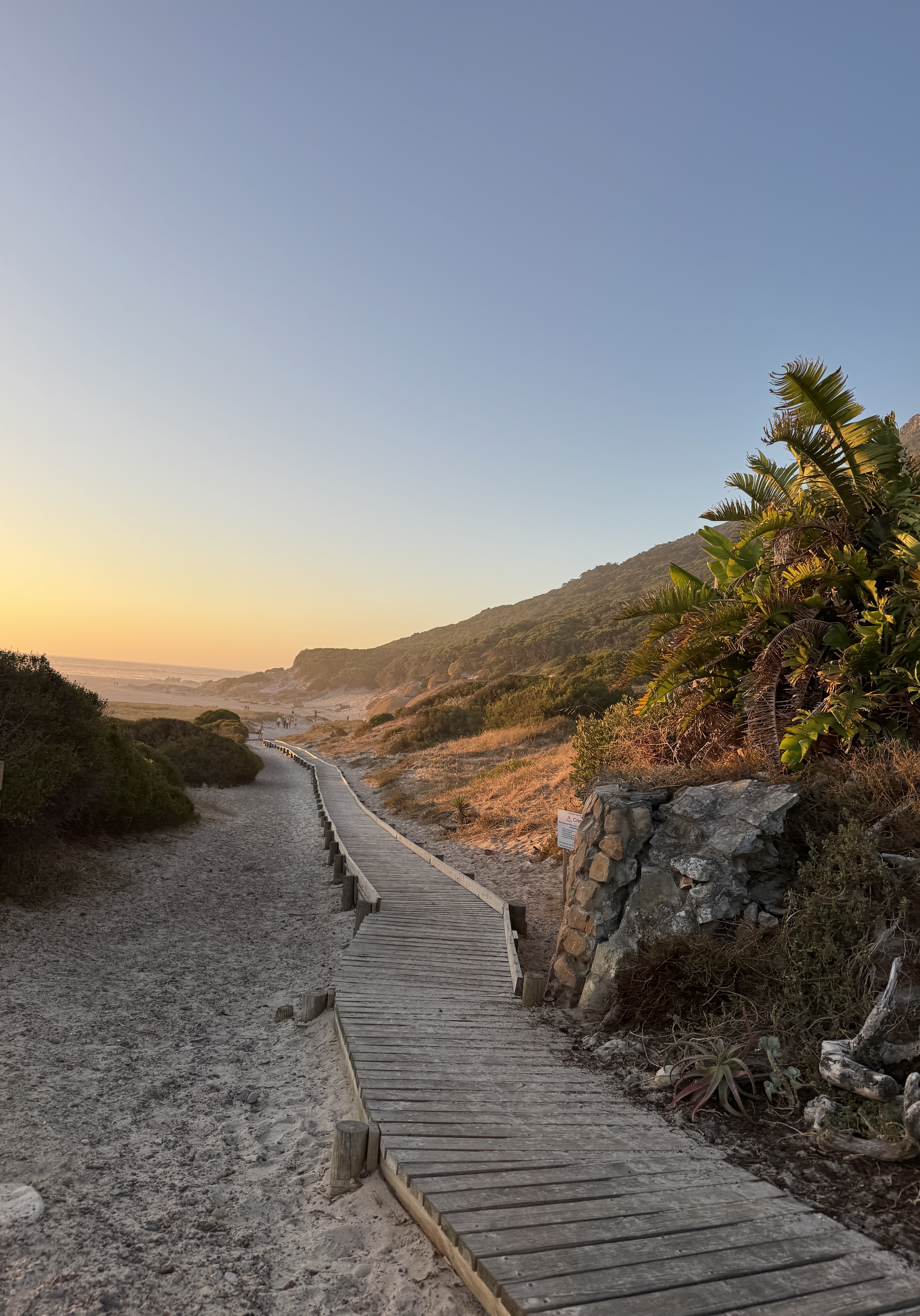 Юар - знакомство с Африкой, которое запомнится навсегда (12/59)