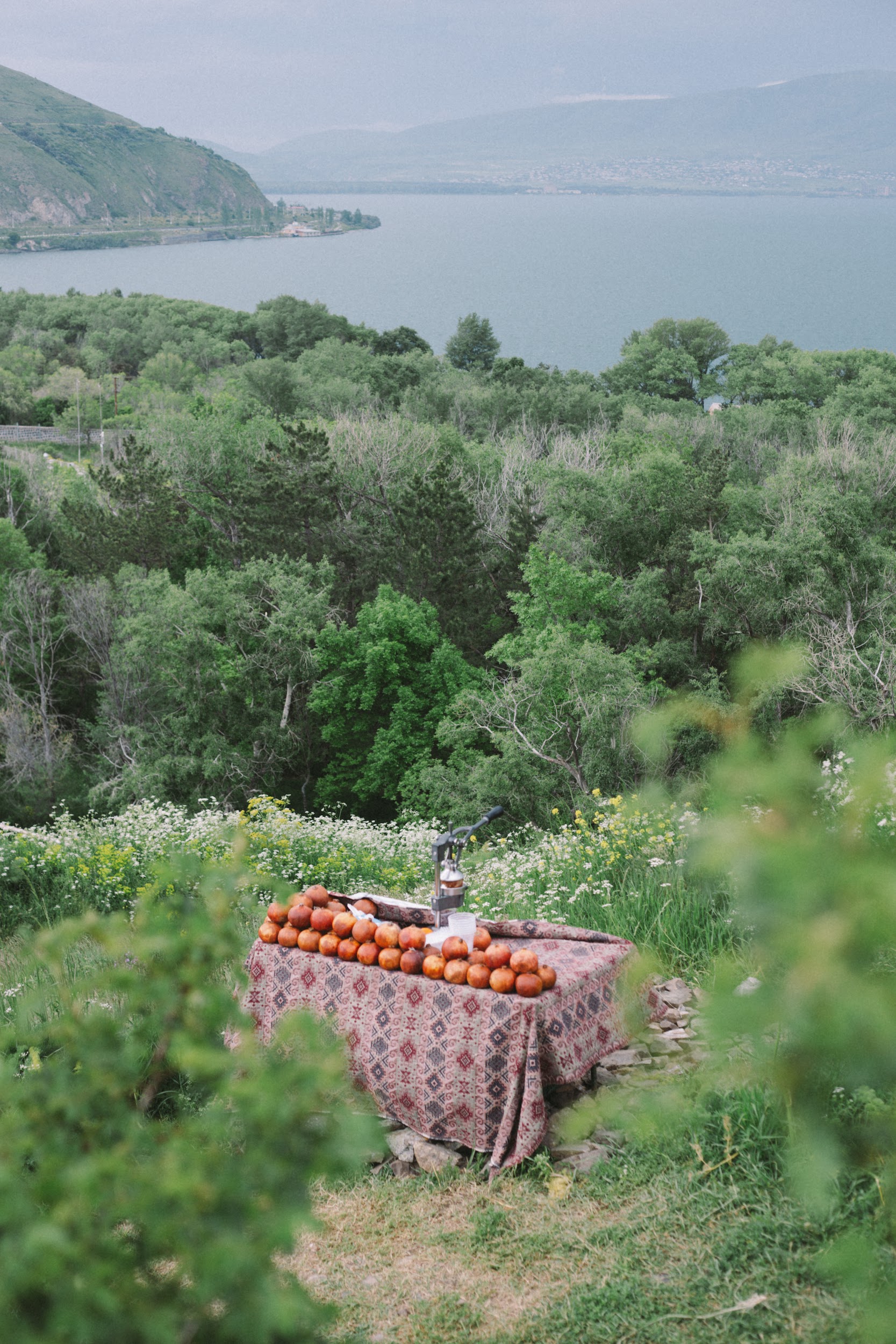 8 улетных дней в Армении и Грузии +винный фестиваль (21/167)