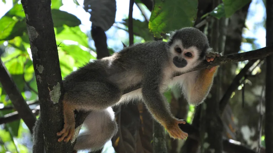 8 дней: заповедник Куябено и открытие центра света (7/8)