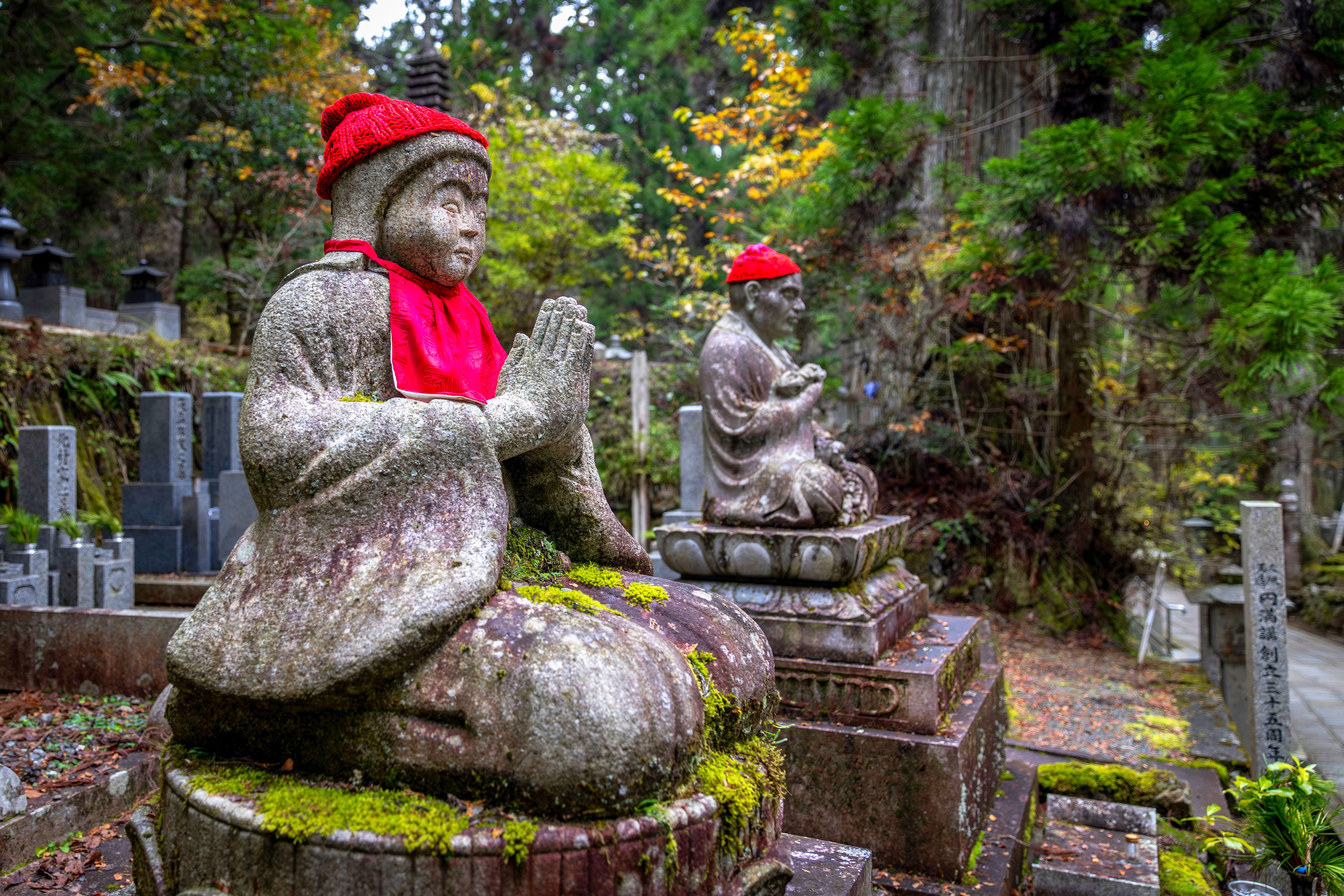 Япония: Алое путешествие (41/50)