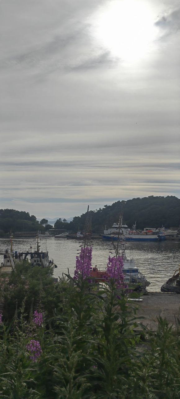 Пикник на Халактырском пляже (тур для компаний 2-4 чел.) (7/17)