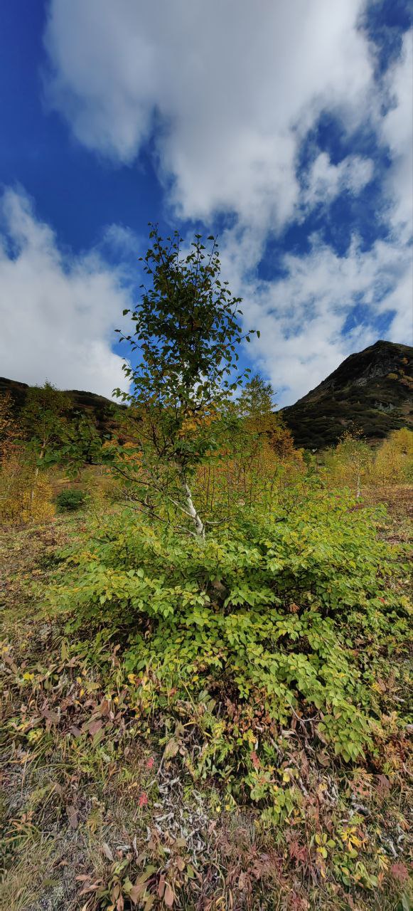 Джип-тур в край гор и водопадов (тур для компаний 1-4 чел., цена за всех) (17/29)