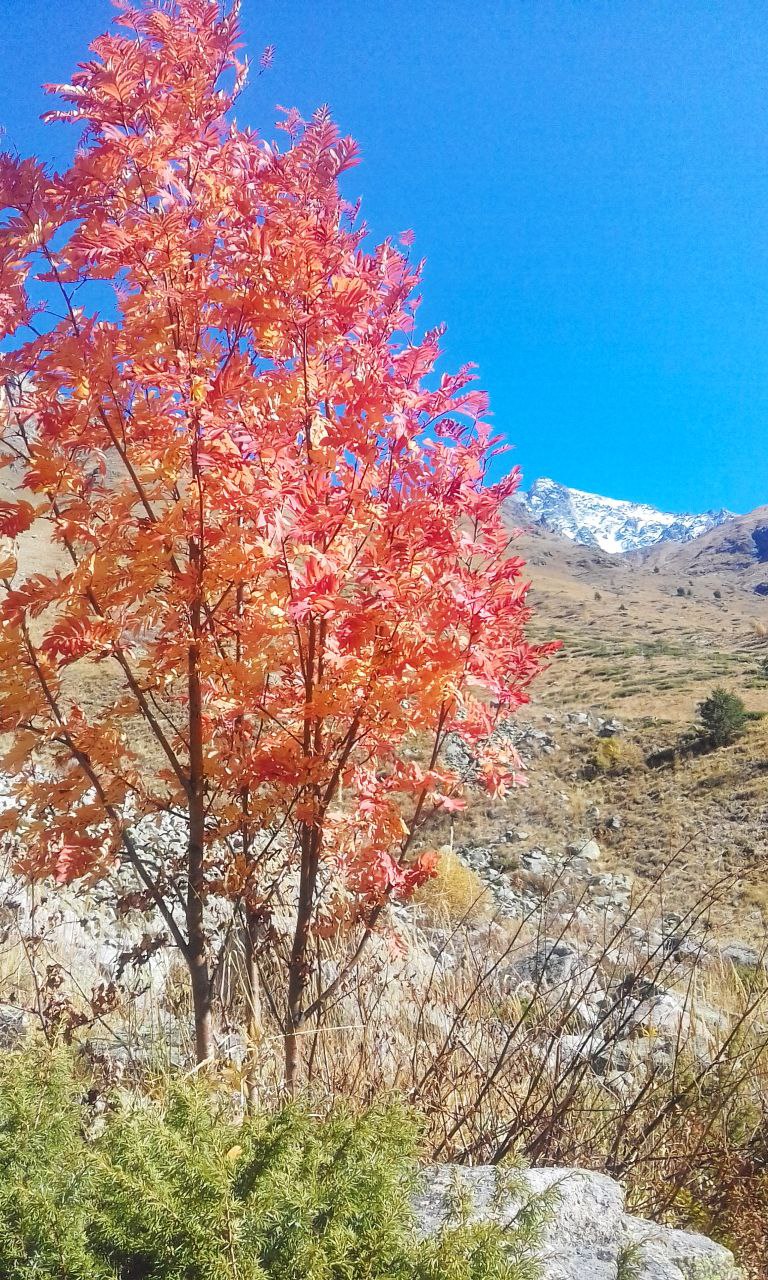 Кавказ - новые горизонты ( со скидкой!!,  все включено , 6 дней) (44/107)