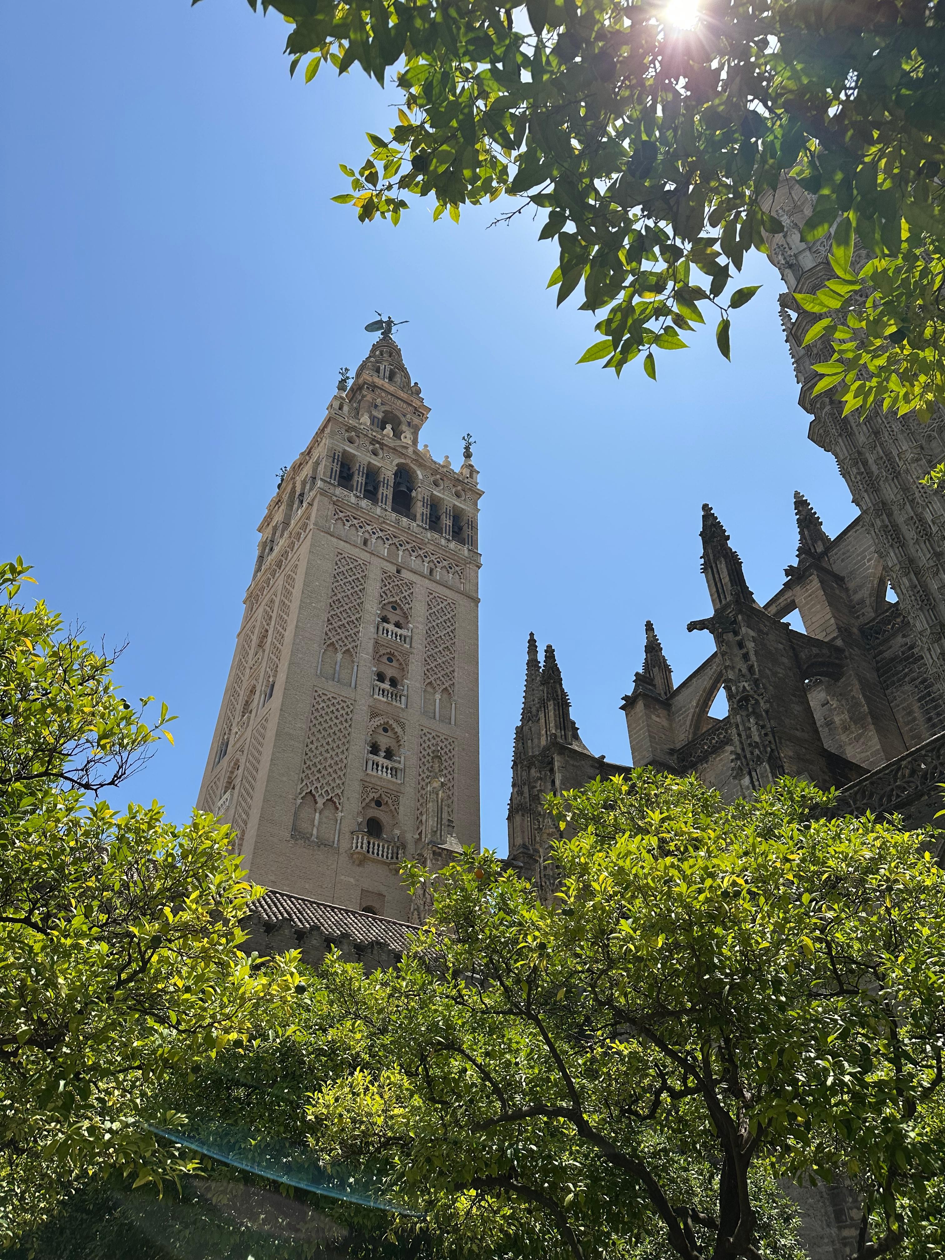 Испания Классика: Барселона и Мадрид, Кордова, Гранада и Валенсия (заезд в пятницу) (15/25)