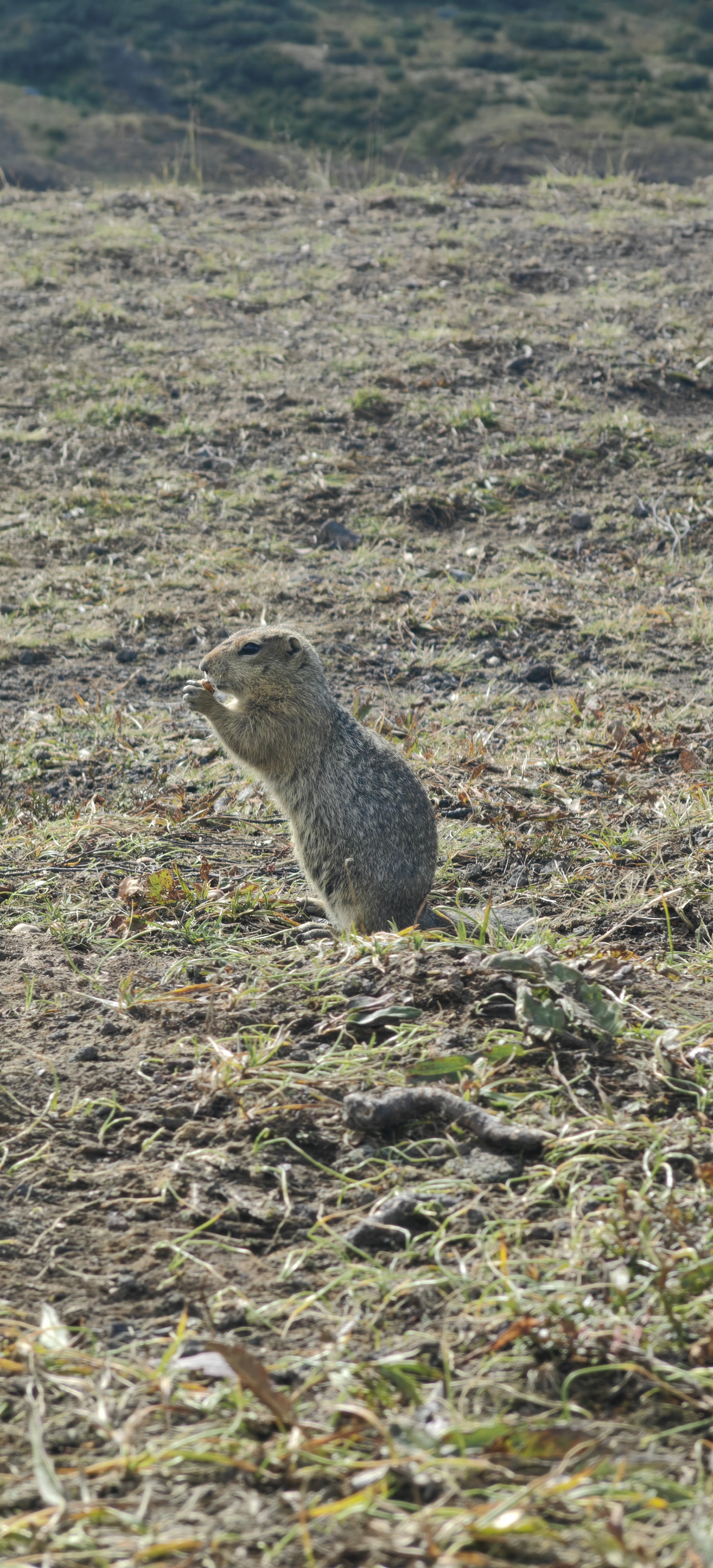 Первое знакомство с Камчаткой (тур для компаний 1-4 чел., цена за всех) (9/17)