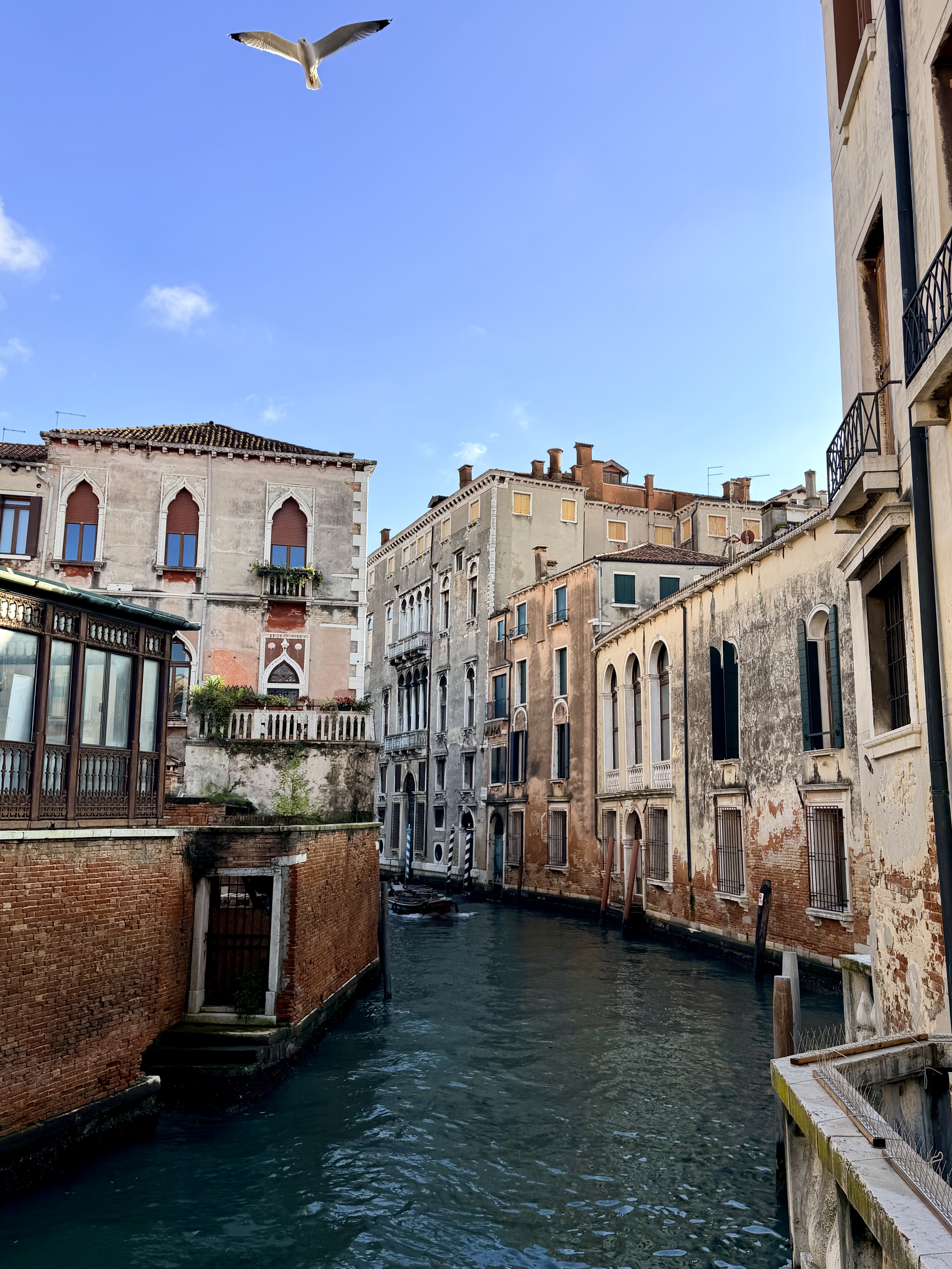 Италия Классика+Милан (сб.-ср.) Старт в Риме! (2/42)