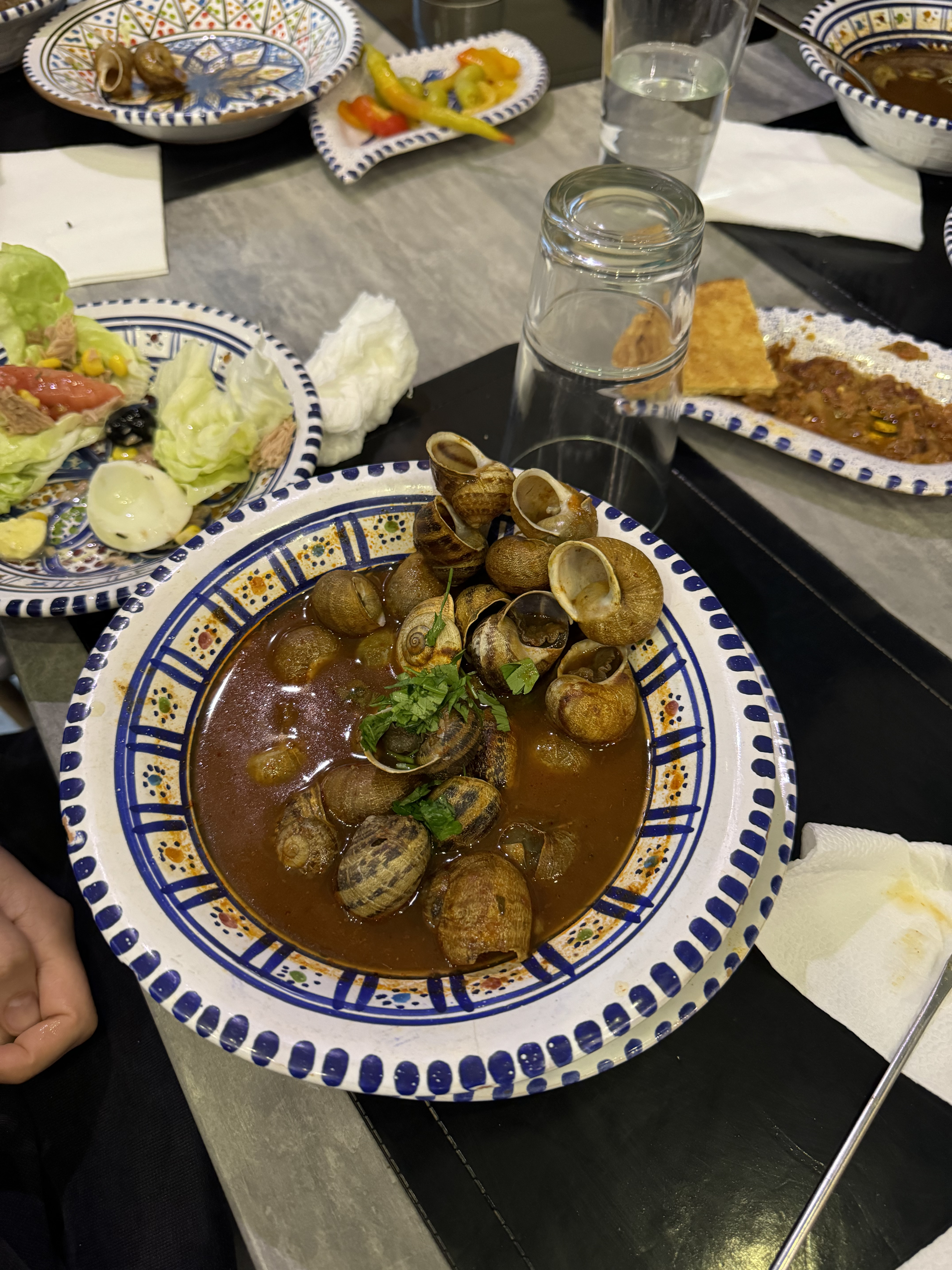 Алжир с востоковедом (27/30)