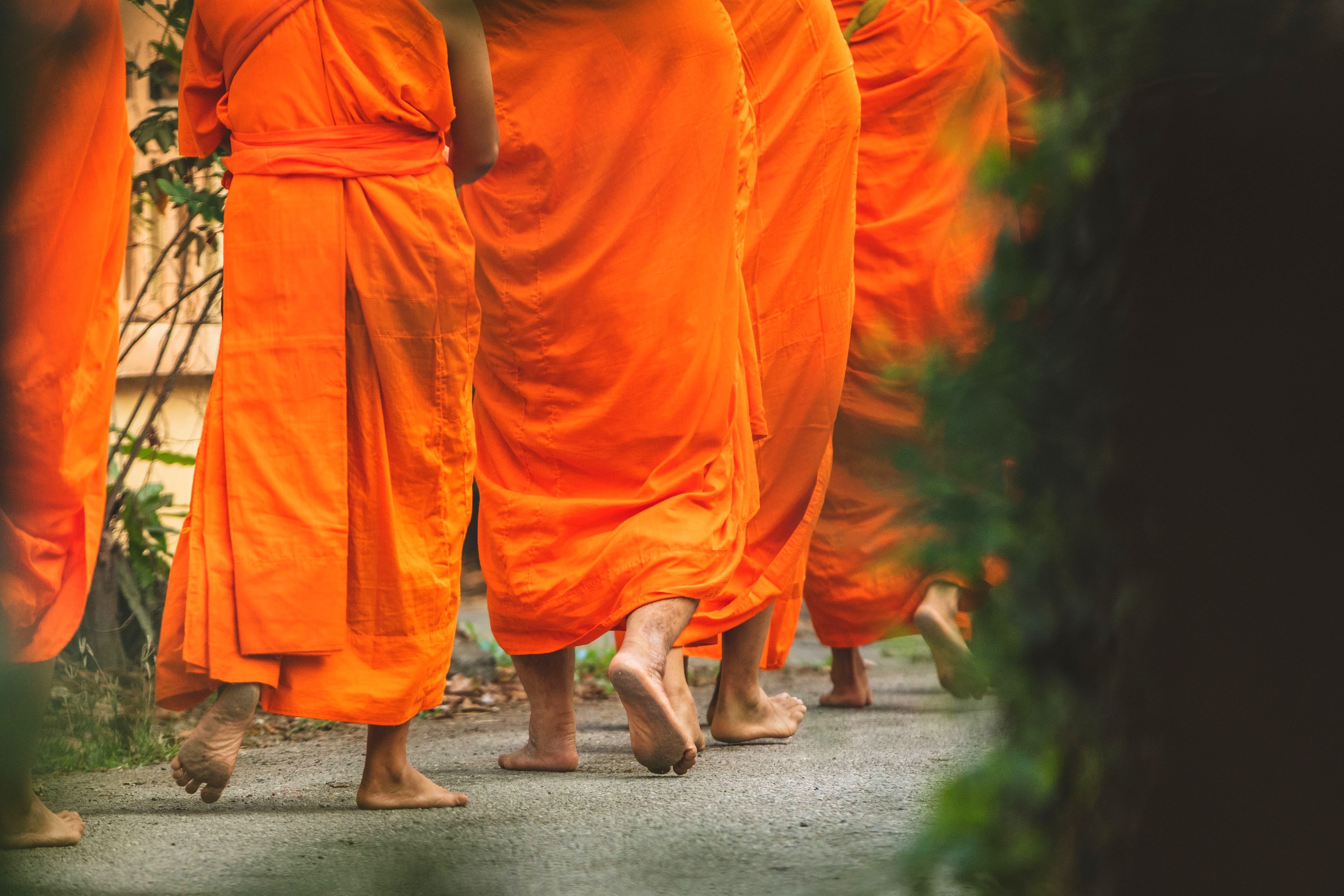 Япония: Алое путешествие (39/50)