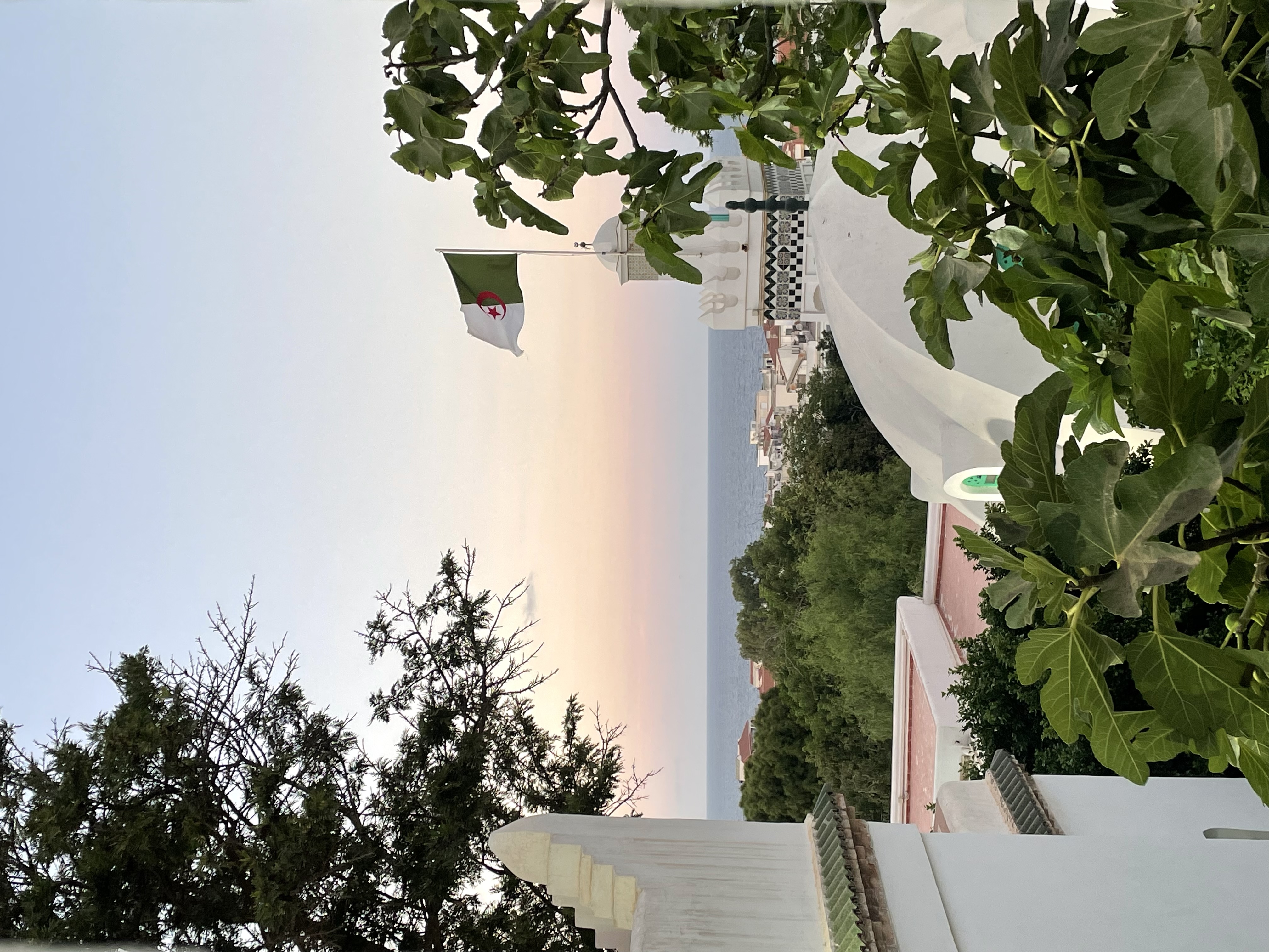 Алжир. Настоящая Сахара (14/39)