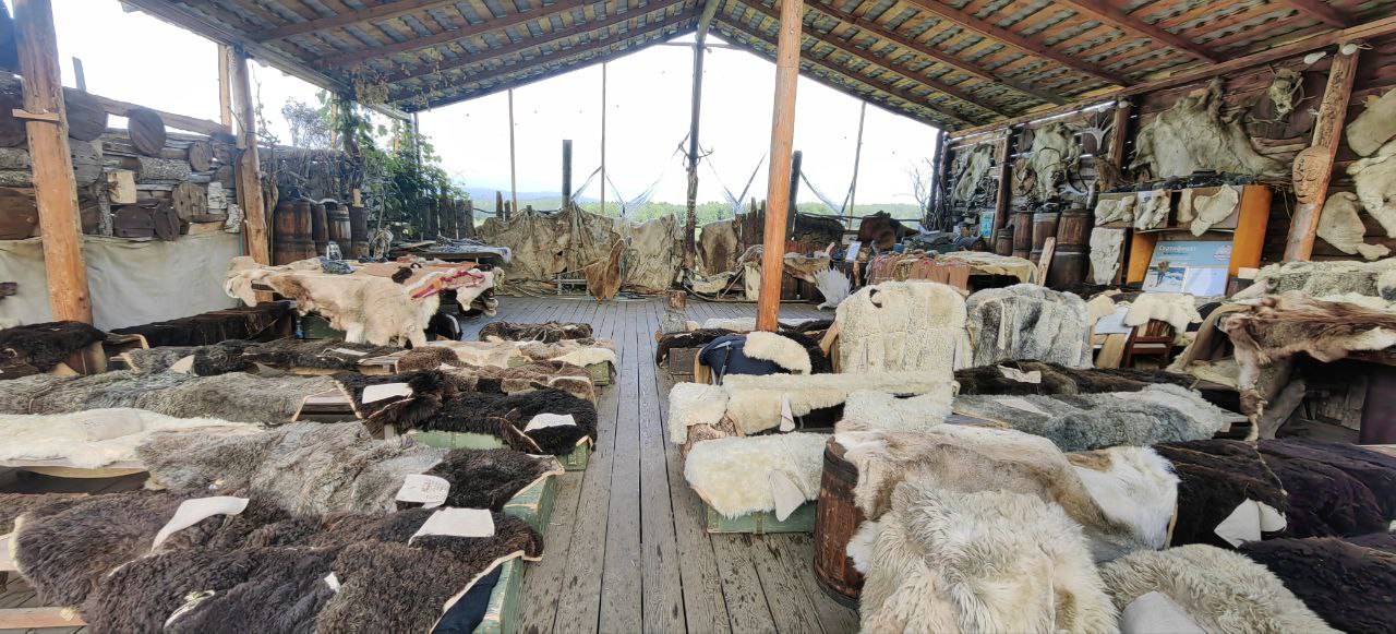 Первое знакомство с Камчаткой (тур для компаний 1-4 чел., цена за всех) (11/17)