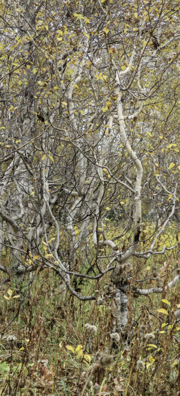 Джип-тур в край гор и водопадов (тур для компаний 1-4 чел., цена за всех) (21/29)