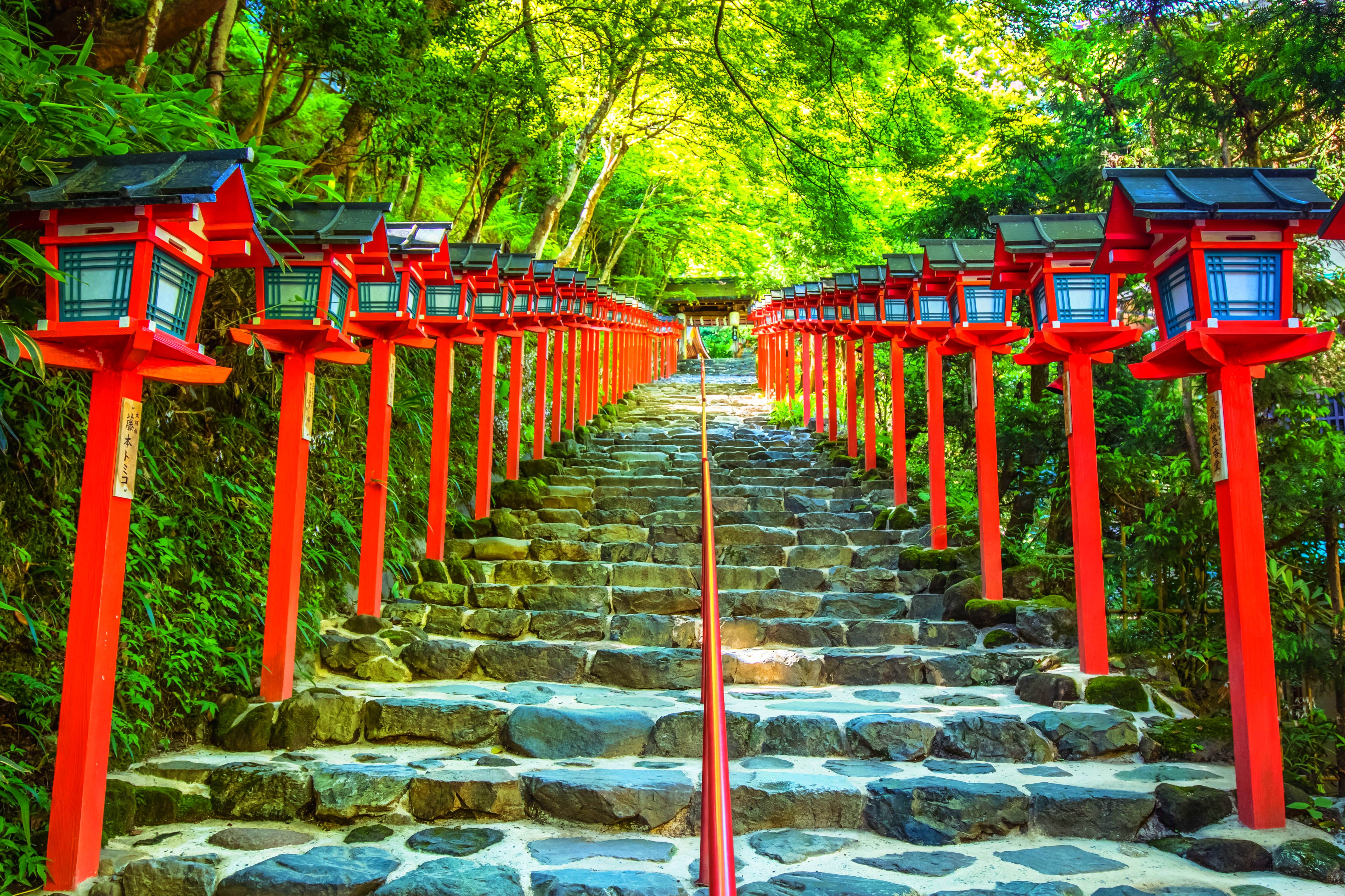 Япония: Алое путешествие (38/50)